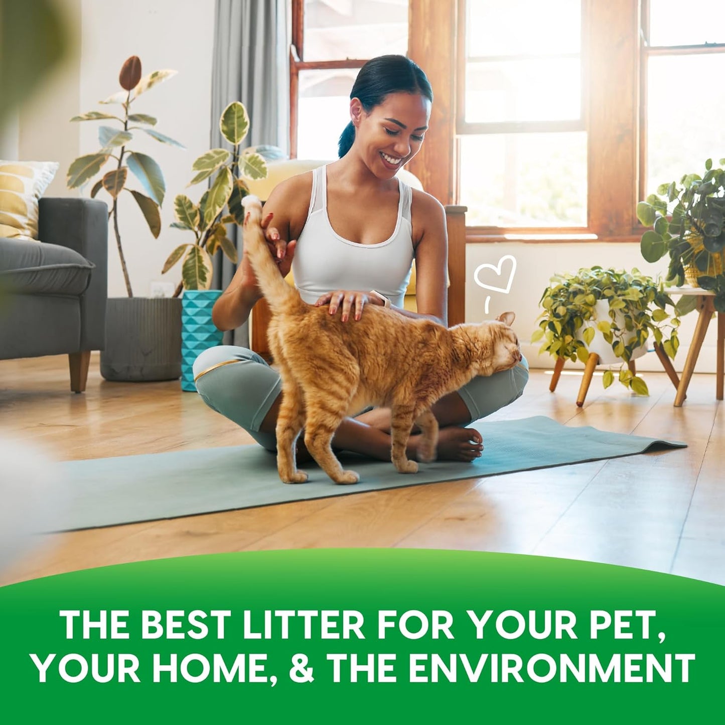 Fresh News Recycled Paper, Original Pellet Cat Litter, 25 Pound,Packaging May Vary