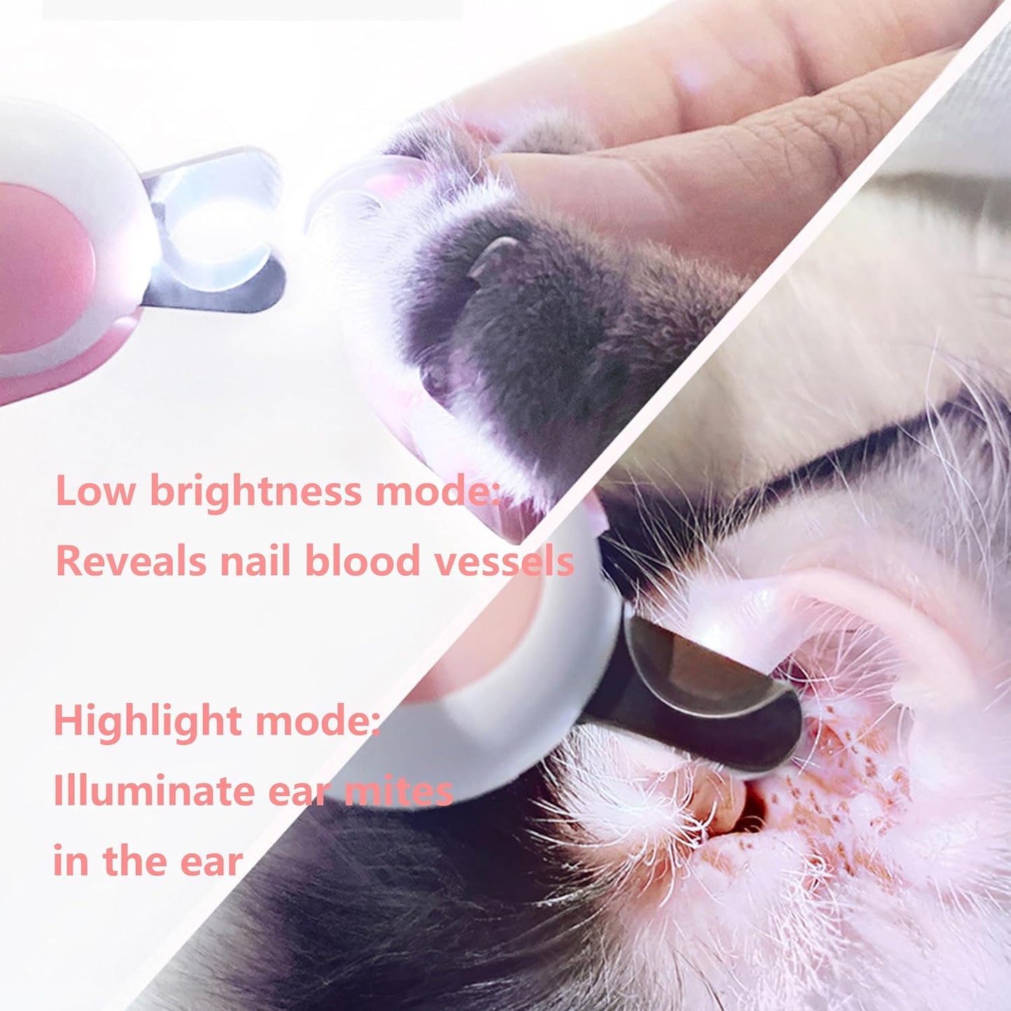 Dog & Cat Pets Nail Clippers and Trimmers, LED Nail Clippers with Light, Precision Angled Blades & Steady Grip, Rofessional Grooming Tool for Pets (Blue)