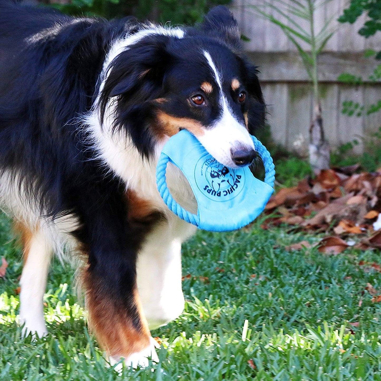 Pacific Pups Products Dog Rope Toys for Medium Dogs 11 Pack - 11 Dog Toy Pack & Puppy Teething Rope Tug of War Dog Toys, Chew Toys to Keep Them Busy, Puppy Chew Ropes