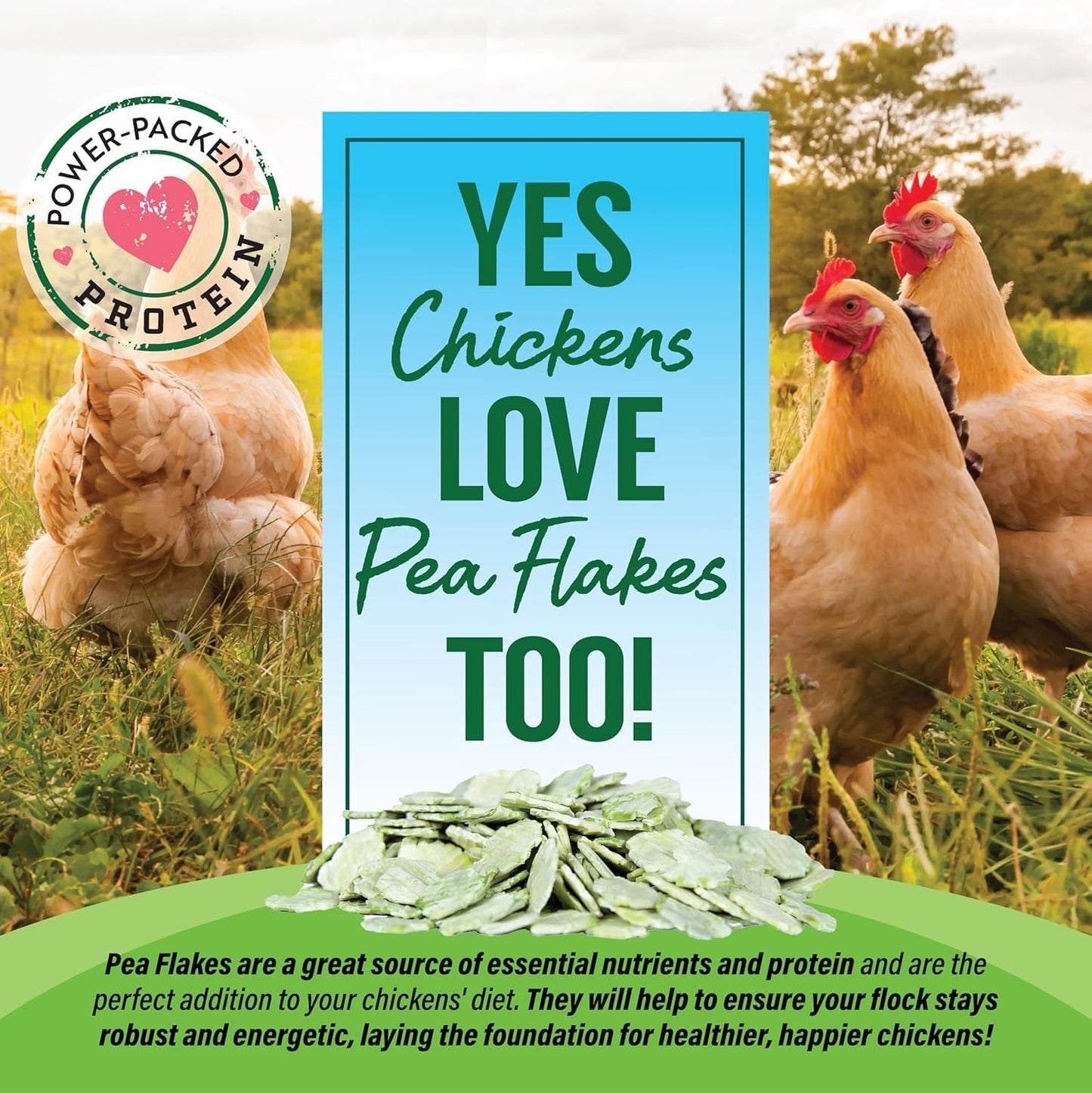 Small Pet Select - Pea Flakes, Treats for Rabbit Bunny, Guinea Pig, Chickens, Bunny, Hamster, and Other Small Pets, 3 lb (Three Pack, 1lb)