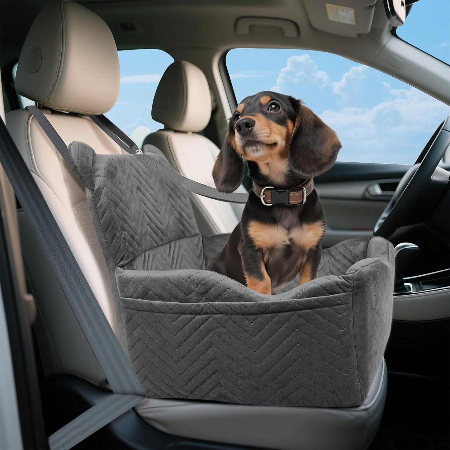 Dog Car Seat Booster with Waterproof Cover, Memory Foam, Small/Medium Dog Bed for Car Back Seat for Travel, 2 Safety Belt