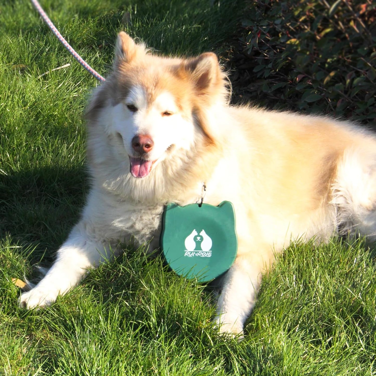 RUNROLE 2-in-1 Collapsible Silicone Dog Travel Bowls, Slot Together and Use Separately, Portable Pet Food Water Bowls, Foldable Cat Feeding Watering Dishes, 20OZ+27OZ(Blush Pink)