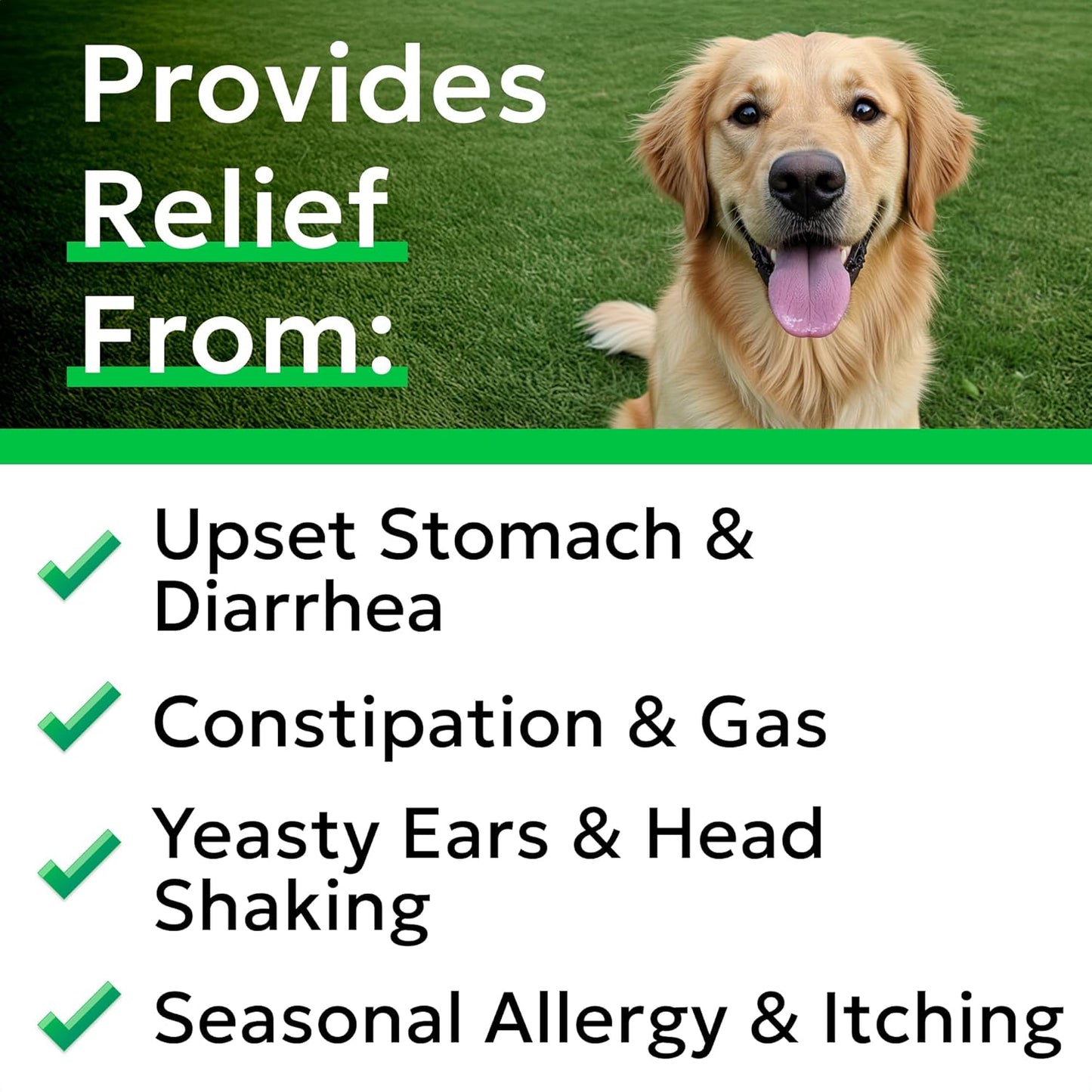 BARK&SPARK Dog Probiotics for Digestive Health & Enzymes + No Poo Chews for Dogs - Diarrhea, Gas, Upset Stomach Relief & Season Allergy - Coprophagia & Stool Eating Deterrent with Probiotics