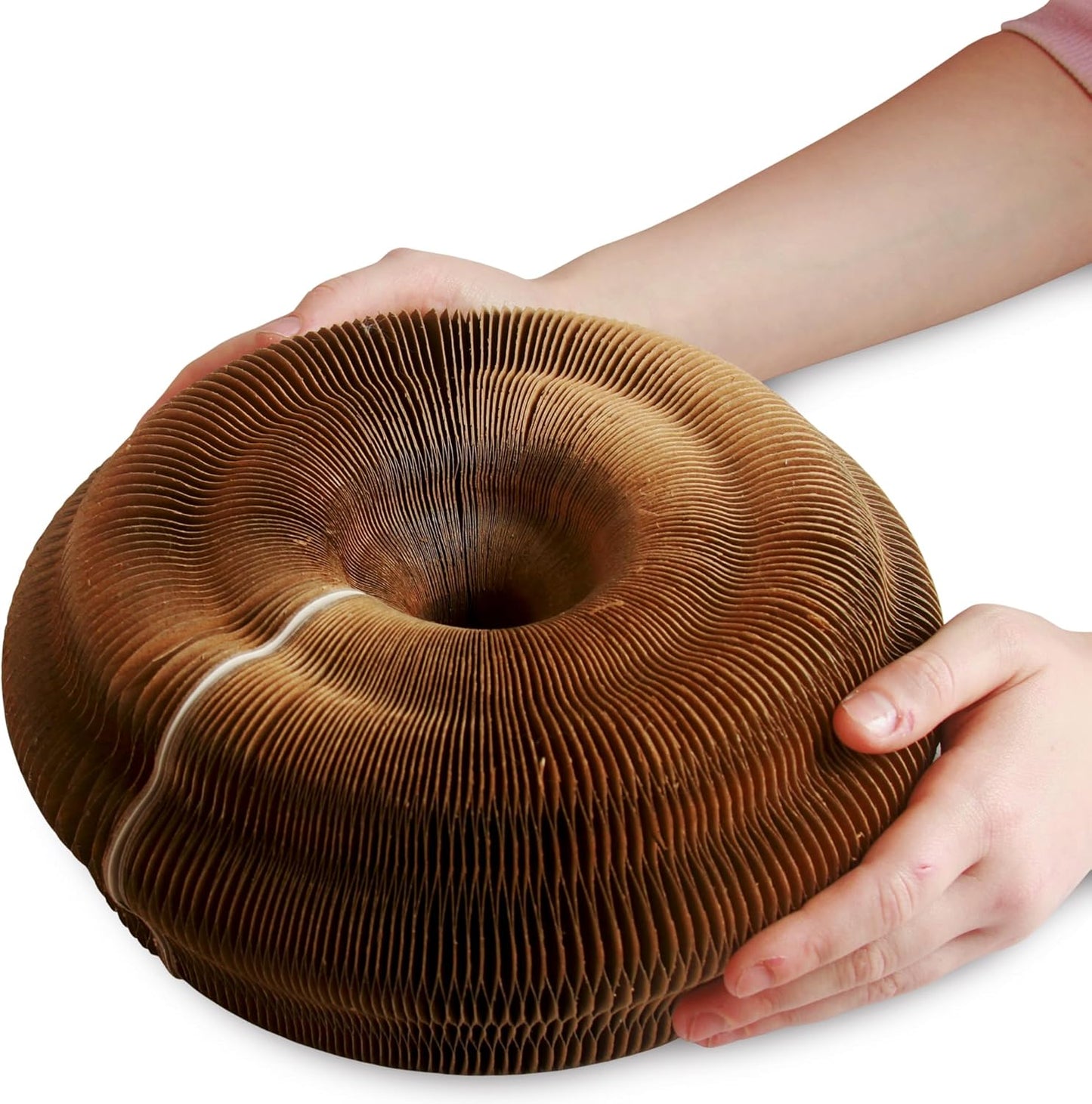 Magic Organ Cat Scratcher Board Toy with Bell Ball and Catnip - Longer, Stretchier Accordion Cardboard Scratching Pad with 4 Strong Magnets - Interactive Fun and Enrichment for Indoor Cats