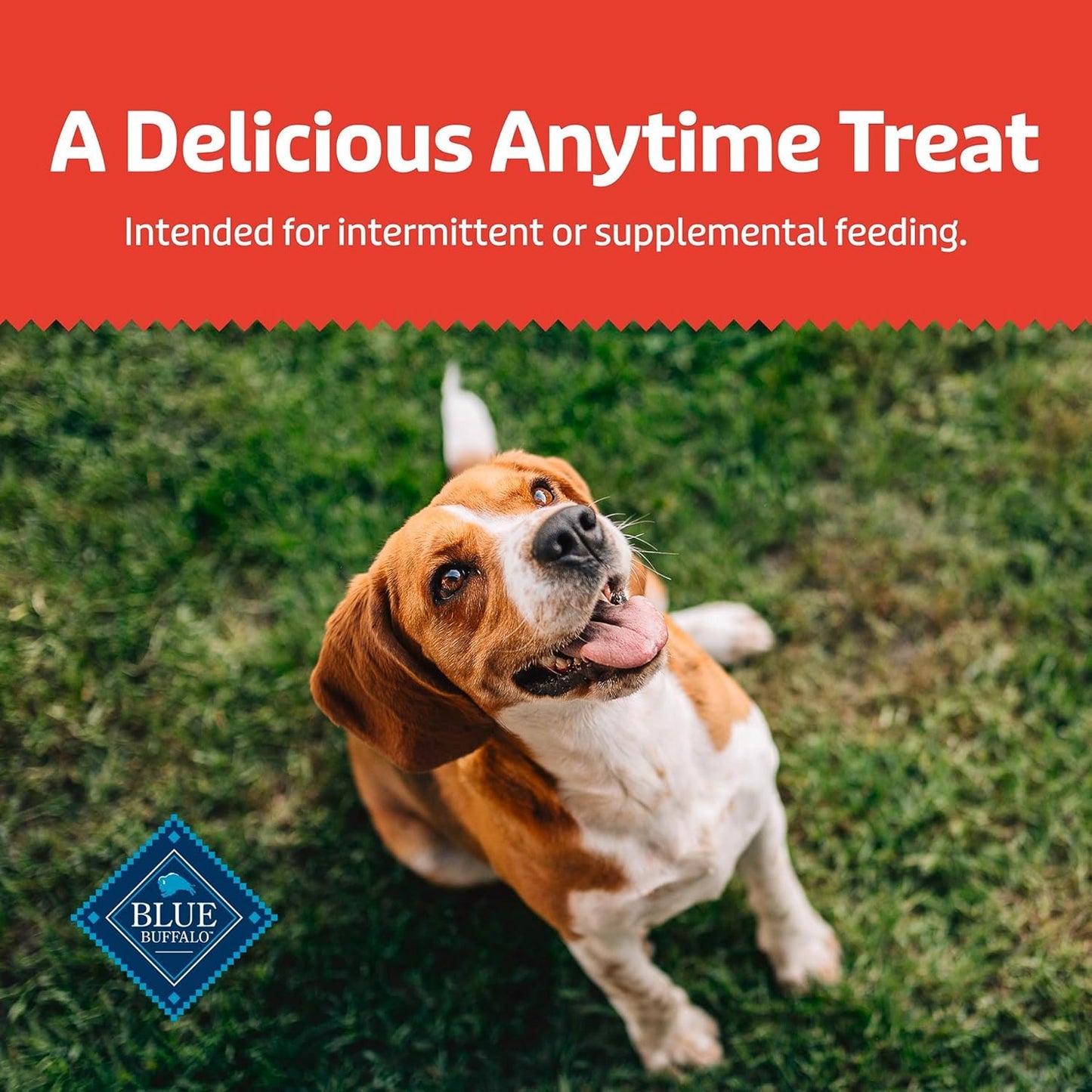 Blue Buffalo Health Bars Crunchy Dog Biscuits, Variety Pack, Bacon, Egg & Cheese, Apple & Yogurt, Pumpkin & Cinnamon, 16-oz Bags