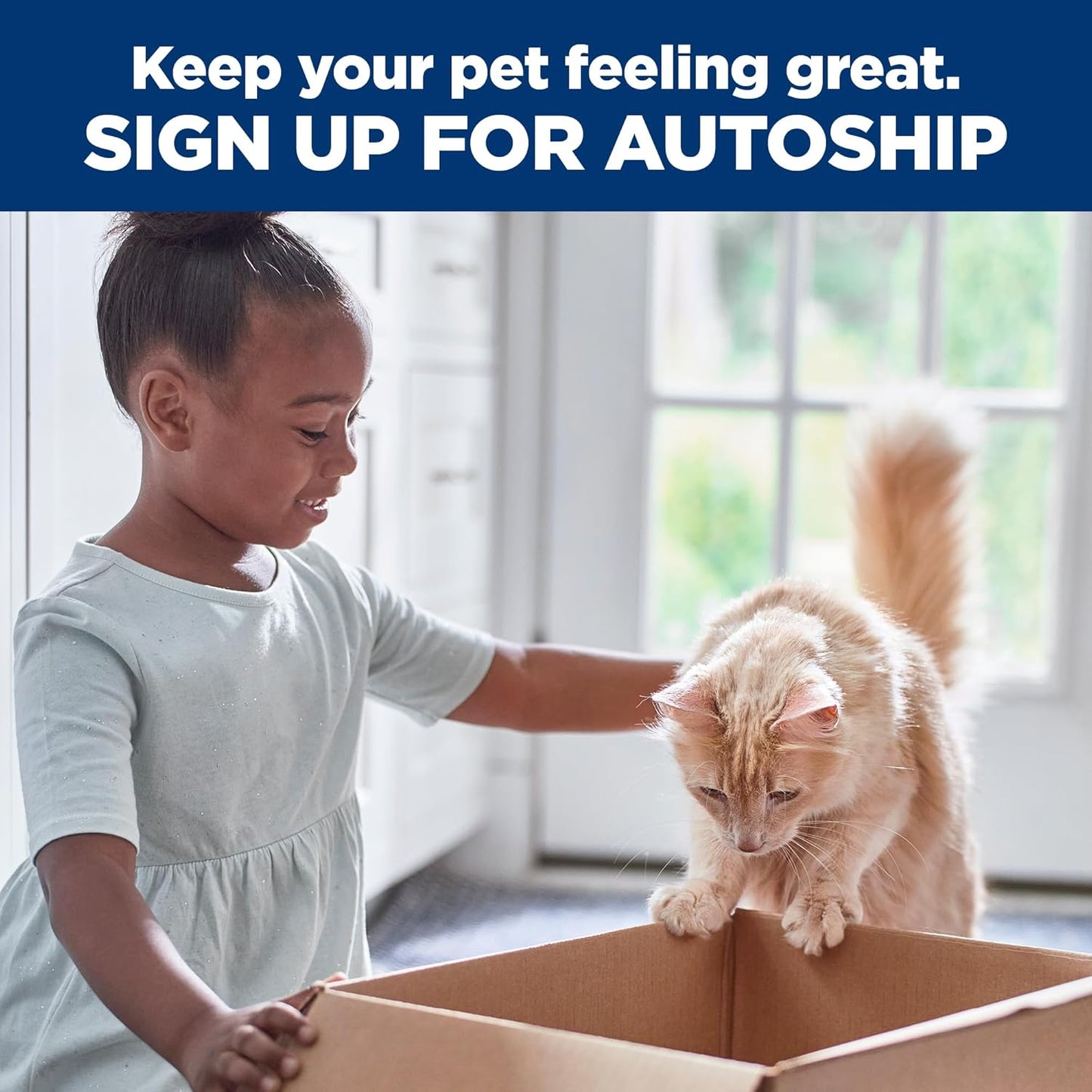 Hill's Science Diet Light, Adult 1-6, Weight Management Support, Dry Cat Food, Chicken Recipe, 4 lb Bag