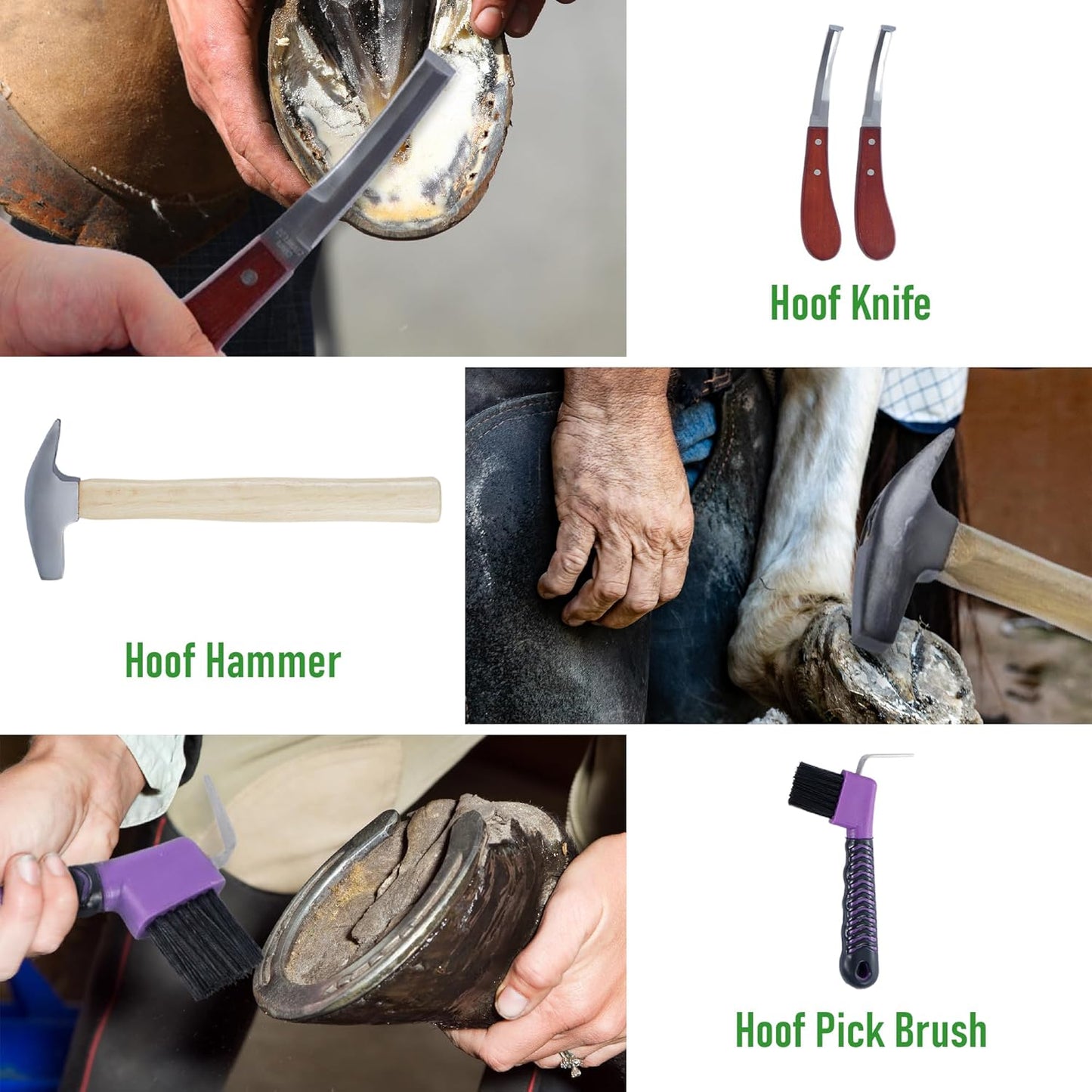 lukar 8PCS Farrier Tools Kit Horse Hoof Trimmers, Includes Horse Hoof Nipper, Horseshoe Cutting Pliers, Hoof Nail Clincher, Hoof Hammer, Hoof Knife, Rasp File, Horseshoe Brush