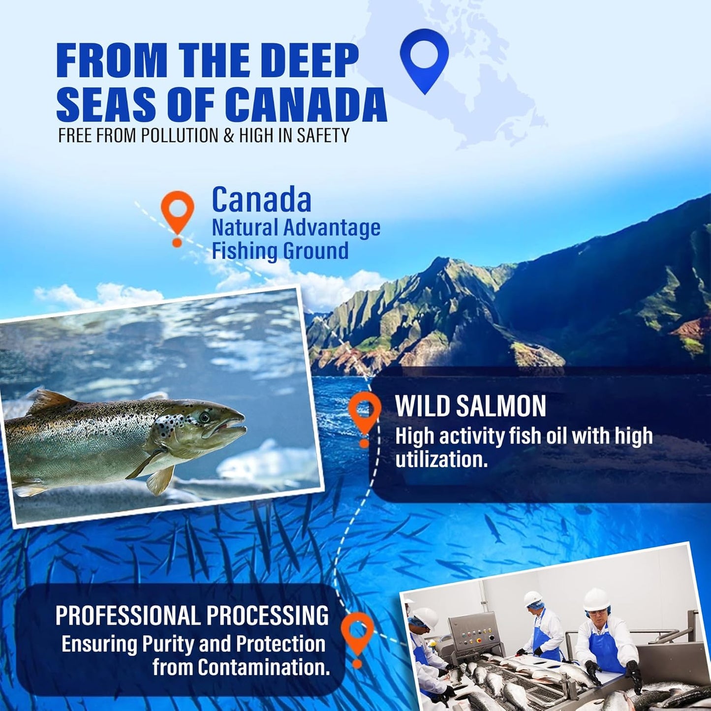 95% Omega 3 Fish Oil for Dogs & Cats, Vet-Formulated with RTG Processed Salmon Oil, Maximum EPA & DHA, Supports Heart, Skin, Coat, Joint,Heart & Immune Health, 100 Soft Gels