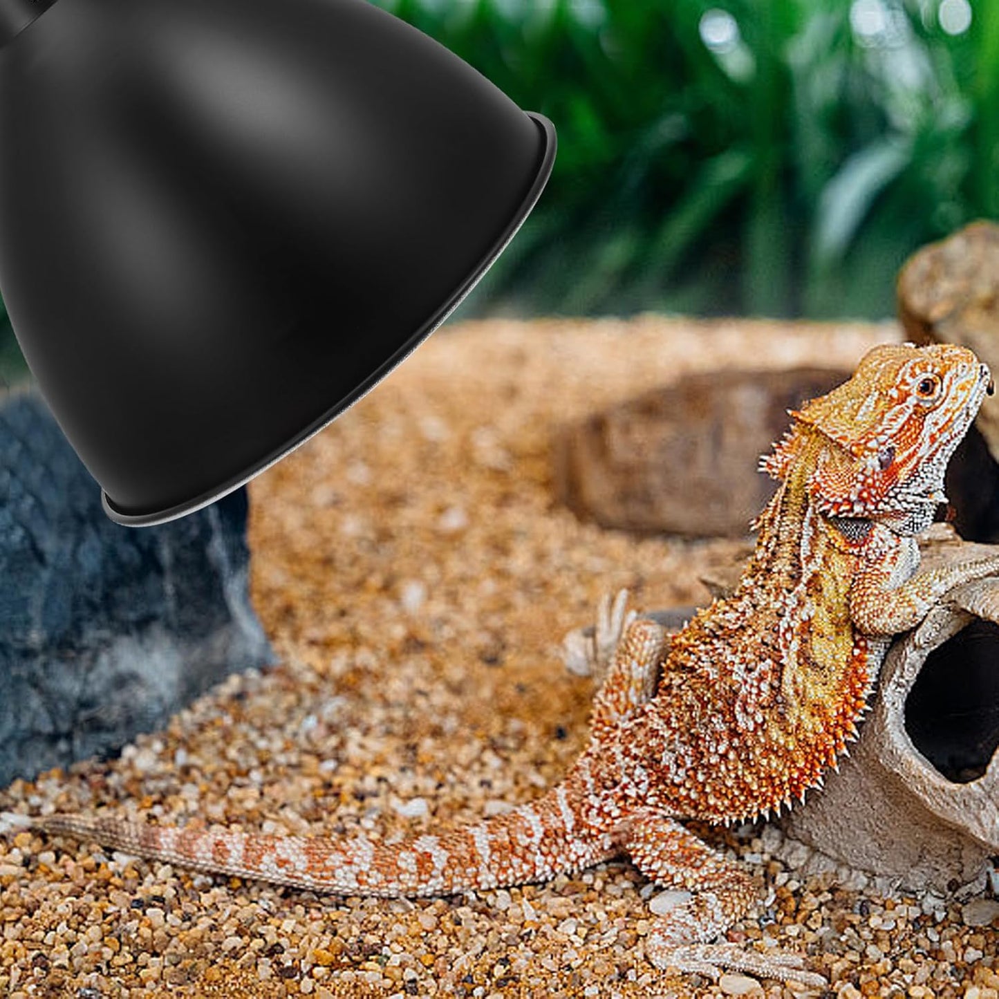 Reptile Heat Lamp Shade 8.5-Inch Metal Reflector Lampshade for Reptile Box Tank Heat Lamp Guard Suitable for Terrarium Heating and Habitat Lighting