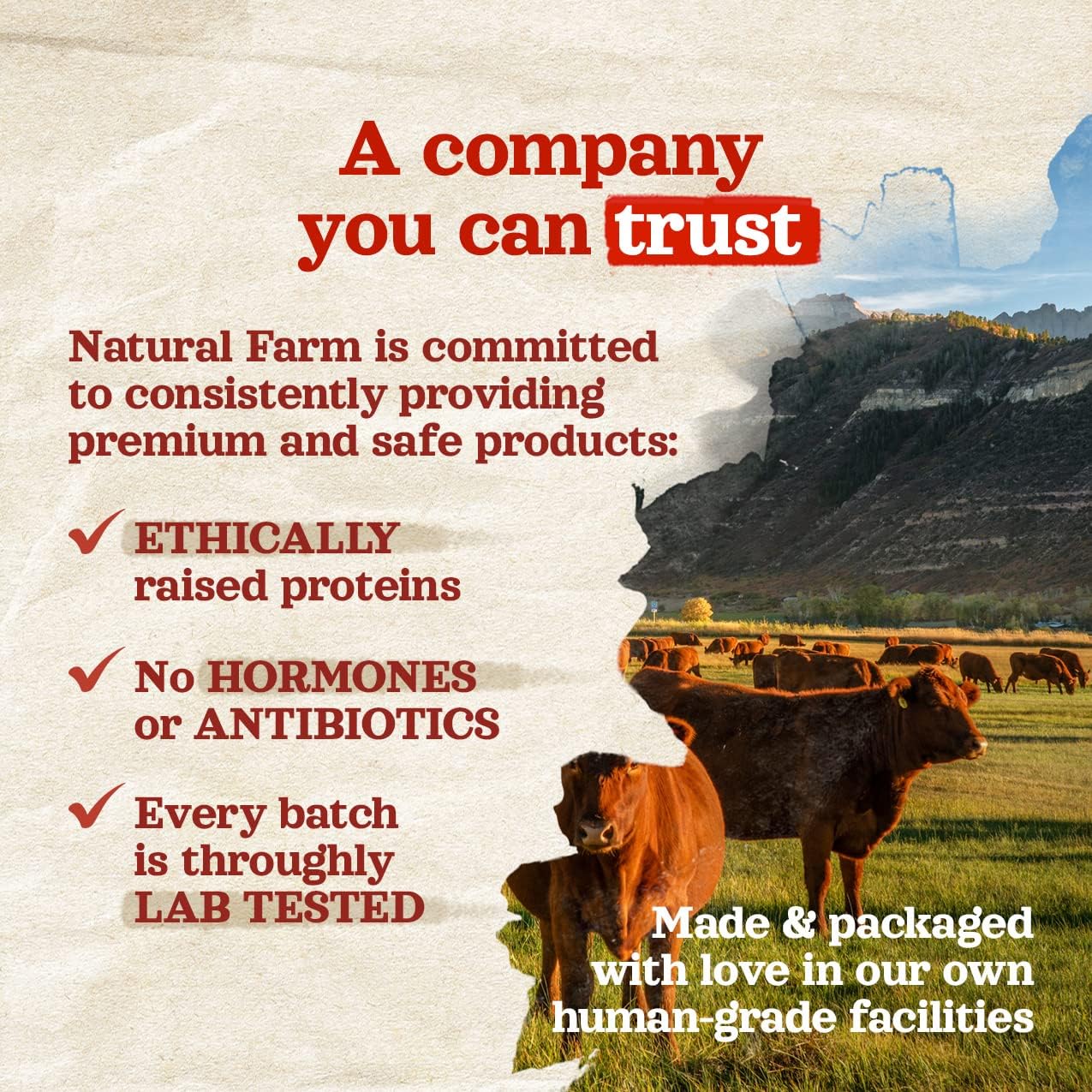 Natural Farm Bully Sticks (6 Inch, 30 Pack), Thin Pizzle Pixie Beef Treats, Grain-Free, High Protein, Best Rawhide Alternative for Small, Puppies or Senior Dogs