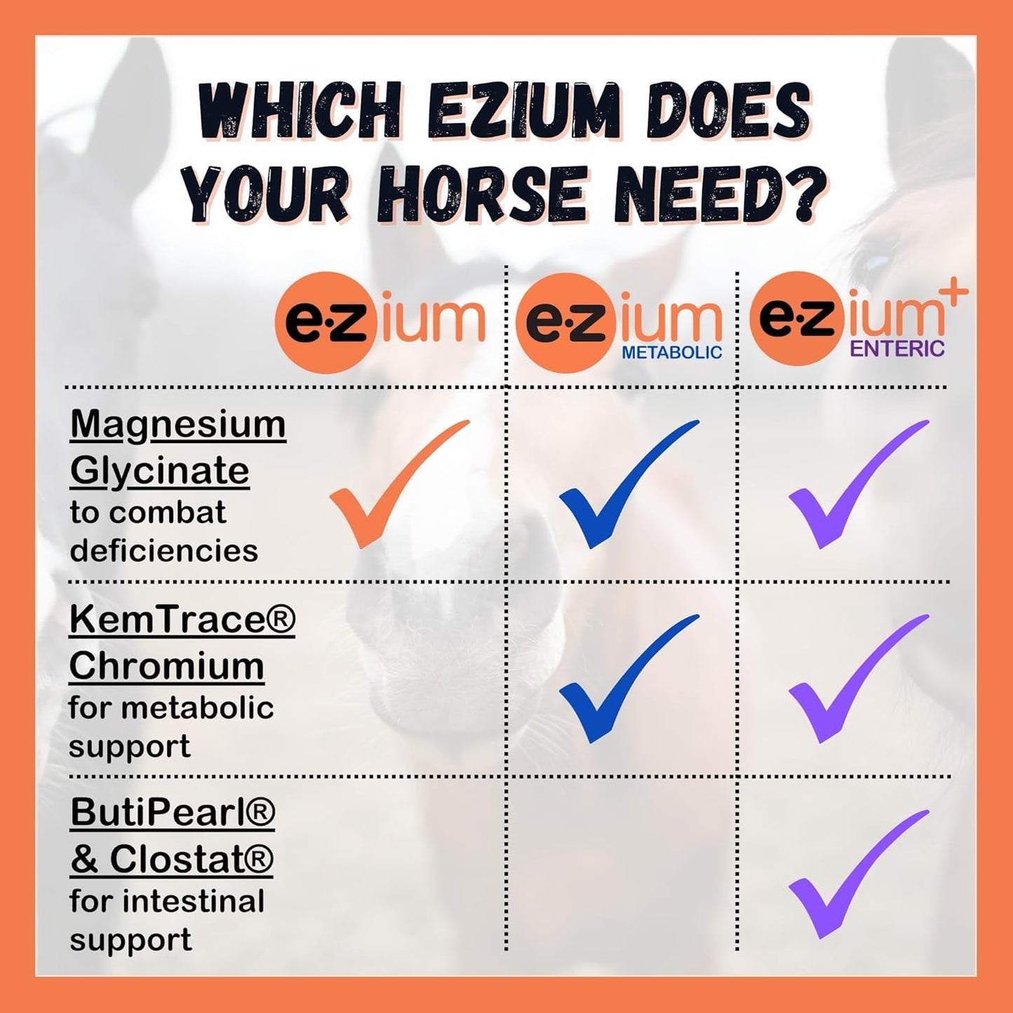 EZium Chelated Magnesium Equine Supplement for Horses – 9.5 lb Resealable Bag (30-Day Supply) – Supports Muscle Function, Focus, Behavior & Calming