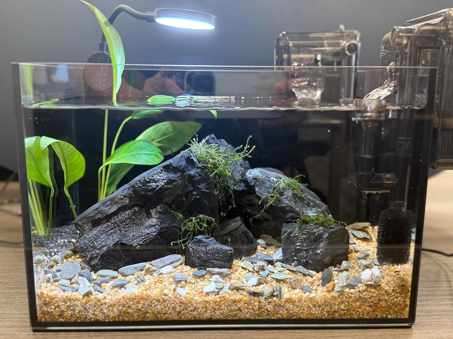 Fish Tank Kit,2.8 Gallon Ultra-Clear Fish Tank,Small Aquarium,Nano Aquarium,Betta Fish Tank,Small Fish Tank,Aquarium Starter kit,Desktop Fish Tank,with Light, Filter (Black, 11.8 x 7 x 7.8inch)