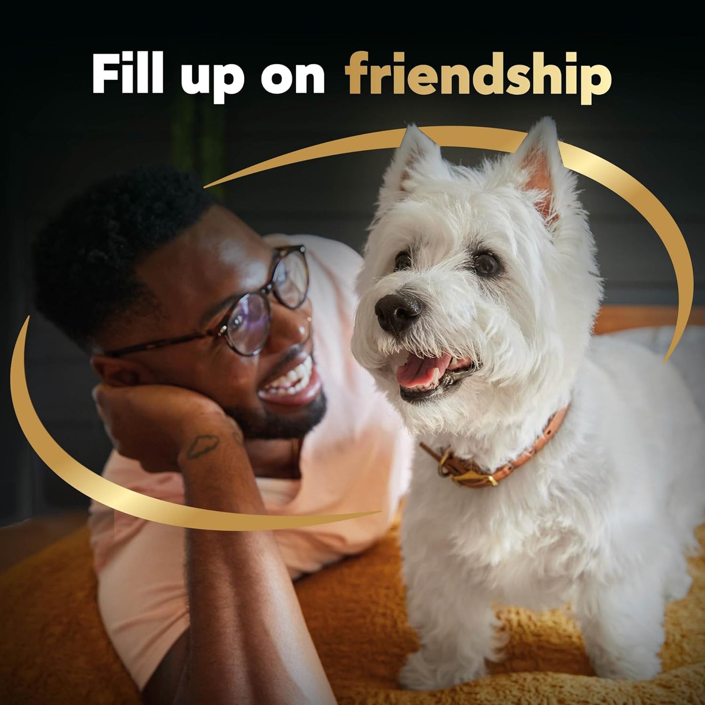 Cesar Small Breed Dry Dog Food Filet Mignon Flavor and Spring Vegetables Garnish, 5 lb. Bag