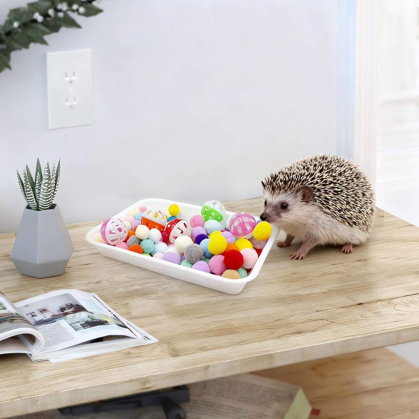 Dig-Box Tray for Hedgehog, Dig Box with Multicolor Furry Ball Toys, Hedgehog Accessories, Toys for Hedgehogs, Sugar Gliders, Hamster, Kitten and Other Small Animals
