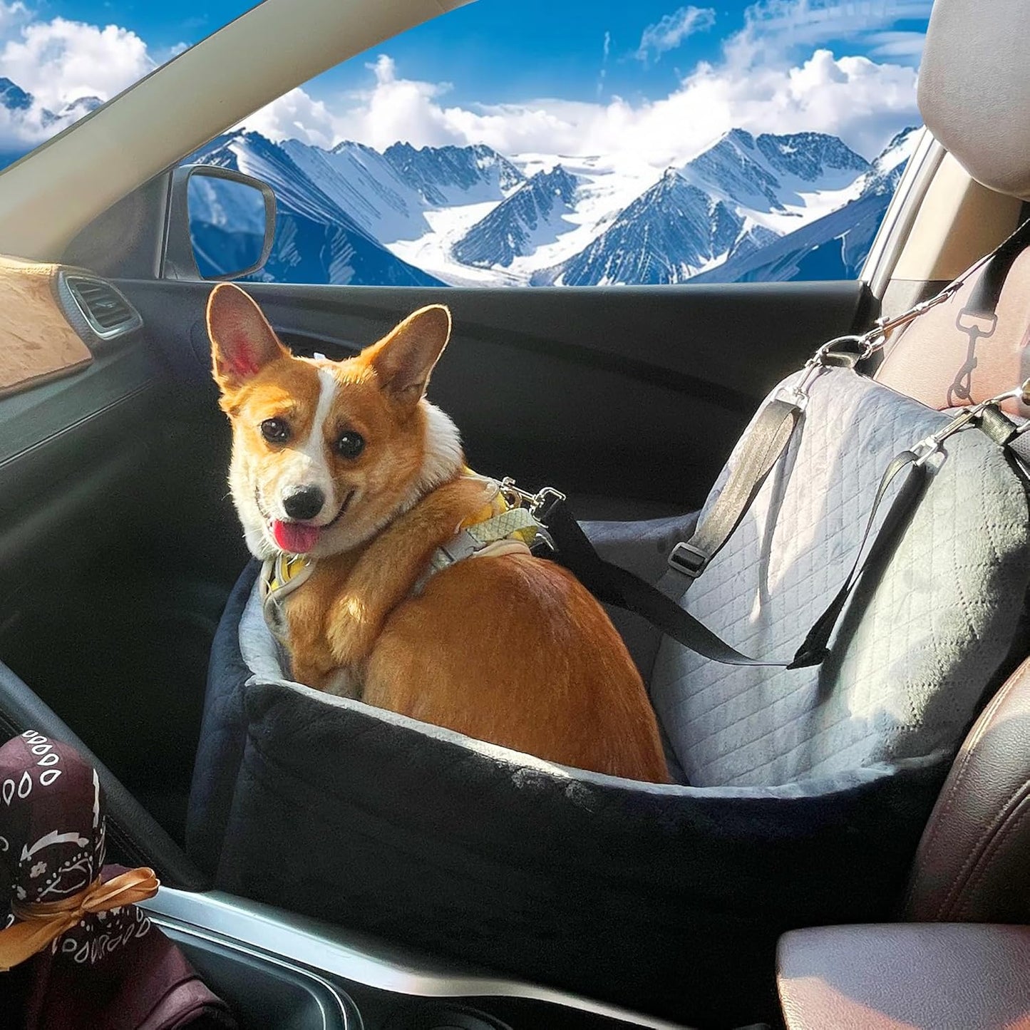 Dog Car Seat for Small Dogs,2 Adjustable Safety Puppies Leashes,Memory Foam with Soft Fabric Pets Travel Car Bed with Non-Slip Bottom,Easily Installed in Front and Back Seats,Removable and Washable.