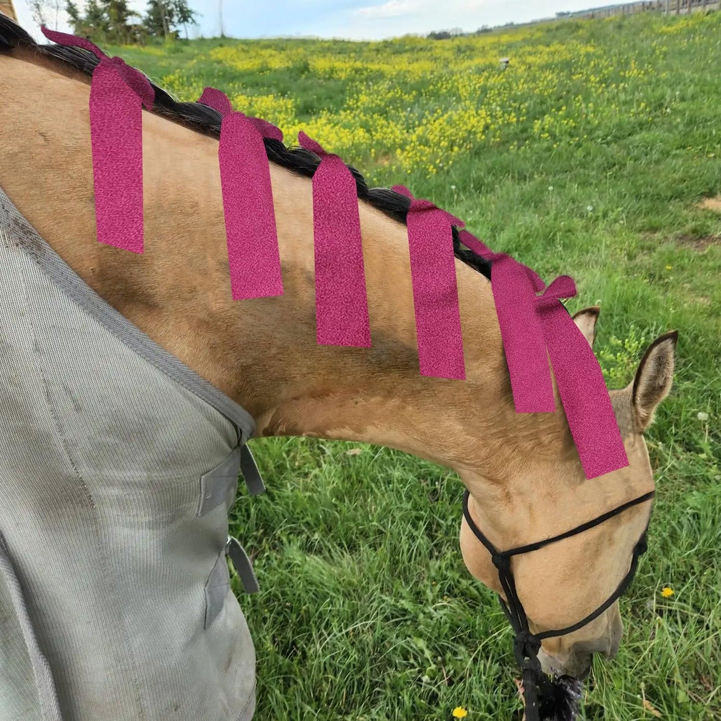 Ranch Hand Horse Mane Bags | 6 Pack | Horse Tack/Supplies | Protect Horse's Mane from Wind, Sun, Mud, Preventing Tangles, Rubbing Out, and Breakage | Handmade Mane Care Product (MAROON)