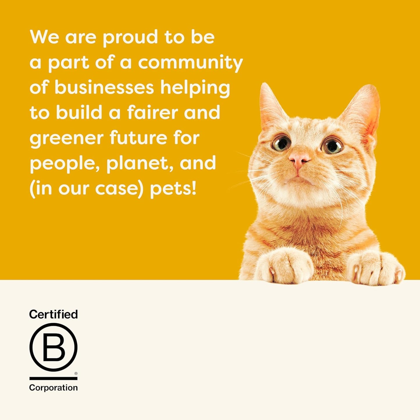 Applaws Natural Wet Cat Food, 24 Count, Limited Ingredient Canned Wet Cat Food, Chicken Breast in Broth, 2.47oz Cans