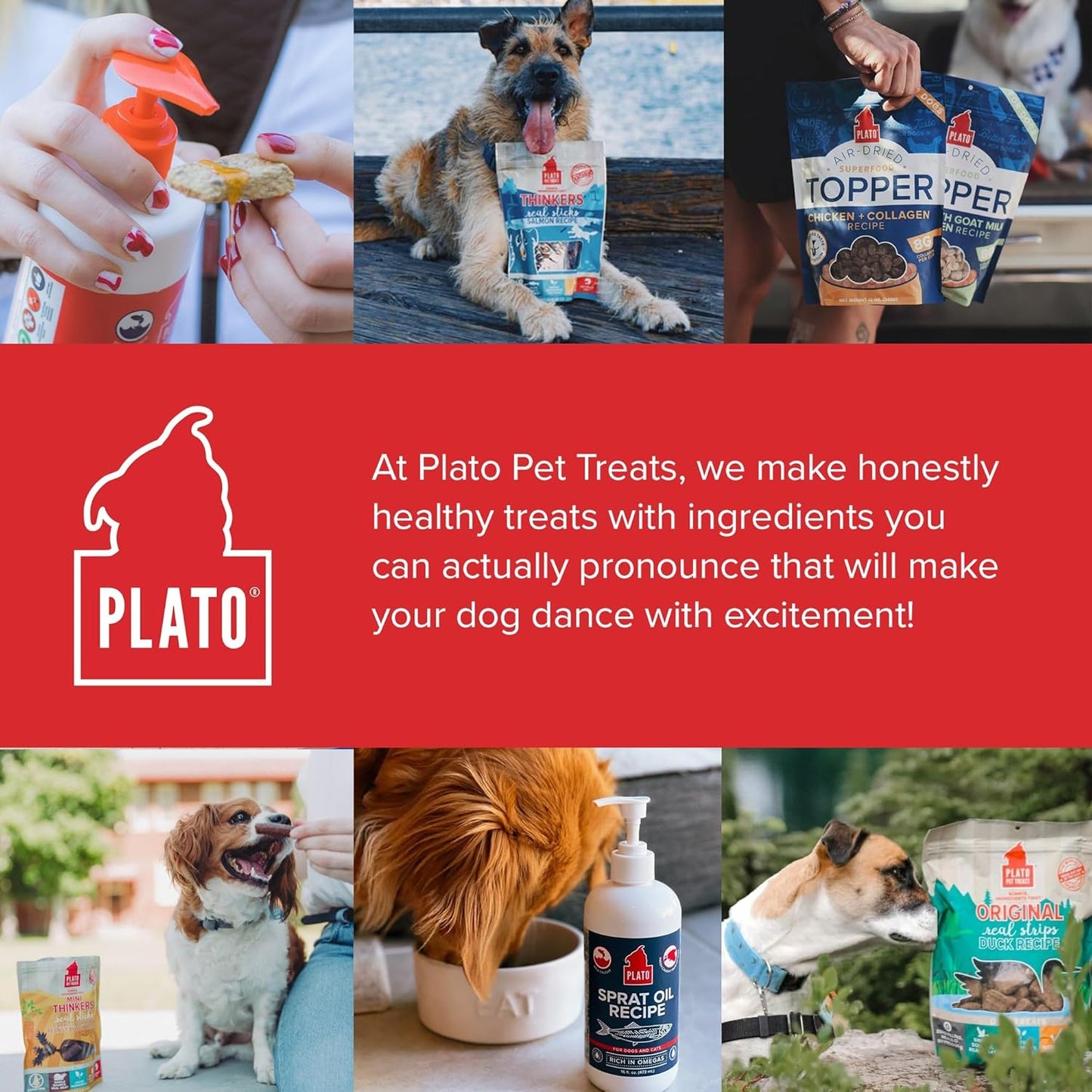 Plato Pet Treats Fish Oil for Dogs - Omega 3 Oil for Dogs - Supports Healthy Skin and Coat - Baltic Sprat Oil Recipe 8 Ounces