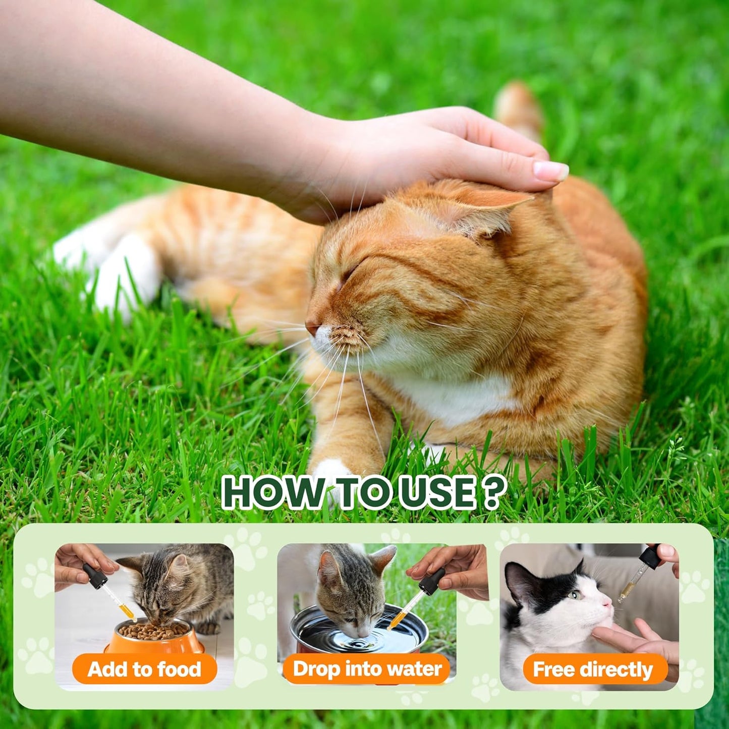 Liquid Dog & Cat Dewormer for All Wormers, Pyrantel Pamoate, Roundworms & Hookworms