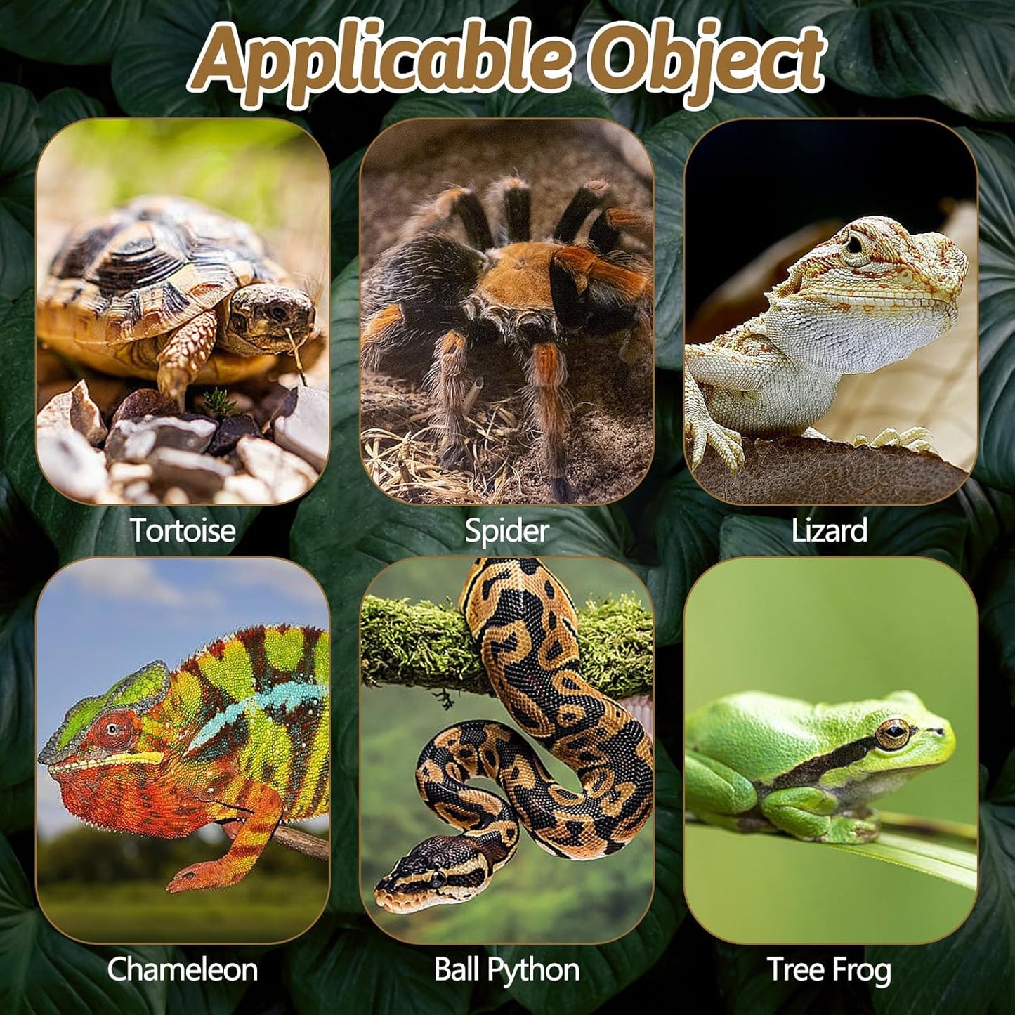 BNOSDM Reptile Pine Bark Substrate and Rectangle Basking Platform for Lizard