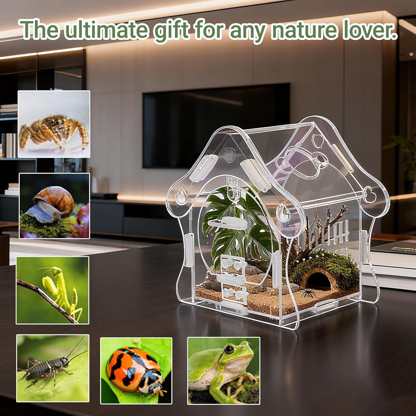 Magnetic Acrylic Jumping Spider Enclosure with Mushroom House, Easy-Feed Hole & Front Opening – Terrarium for Tarantula, Mantis, Beetle, Gecko, Hermit Crab, Reptile Habitat