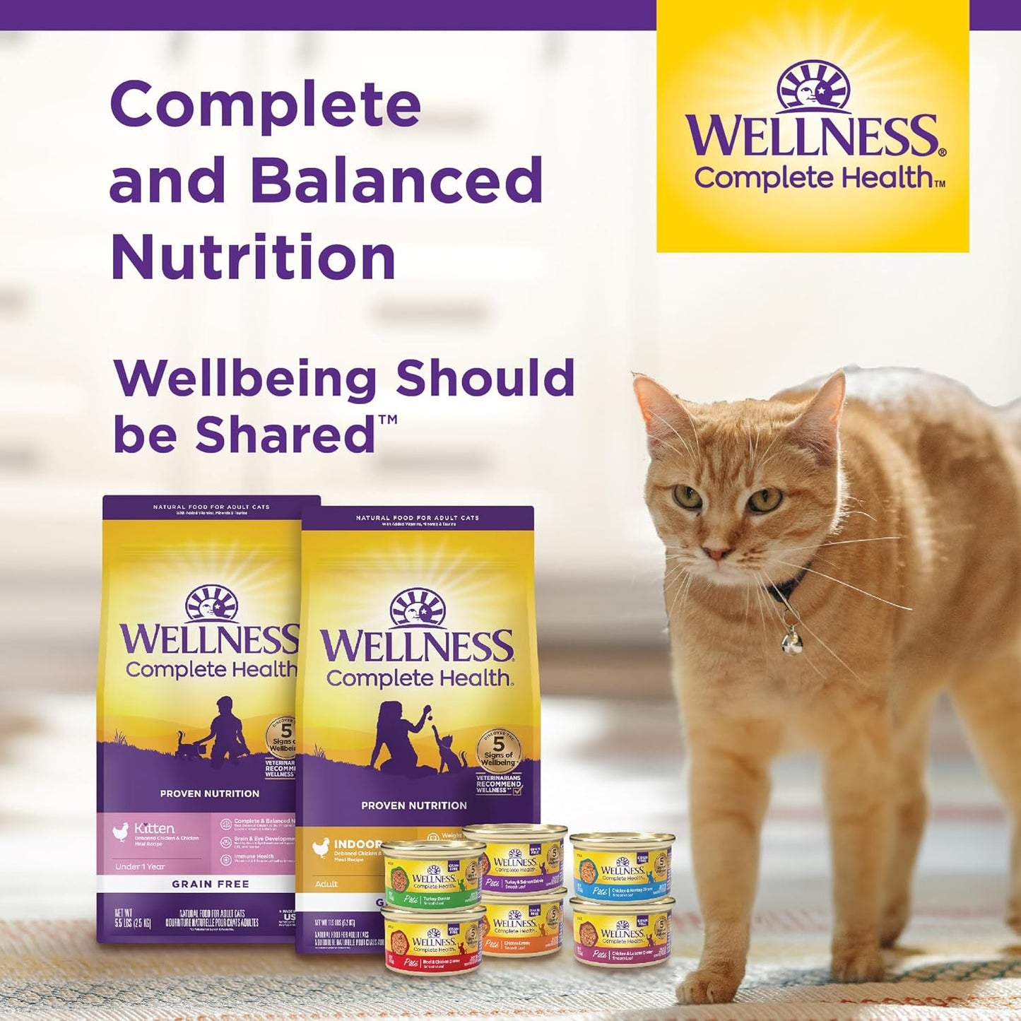 Wellness Complete Health Pate Adult Wet Cat Food, Natural, Protein-Rich, Grain Free, 5.5 Ounce, 24 Pack, (Chicken)