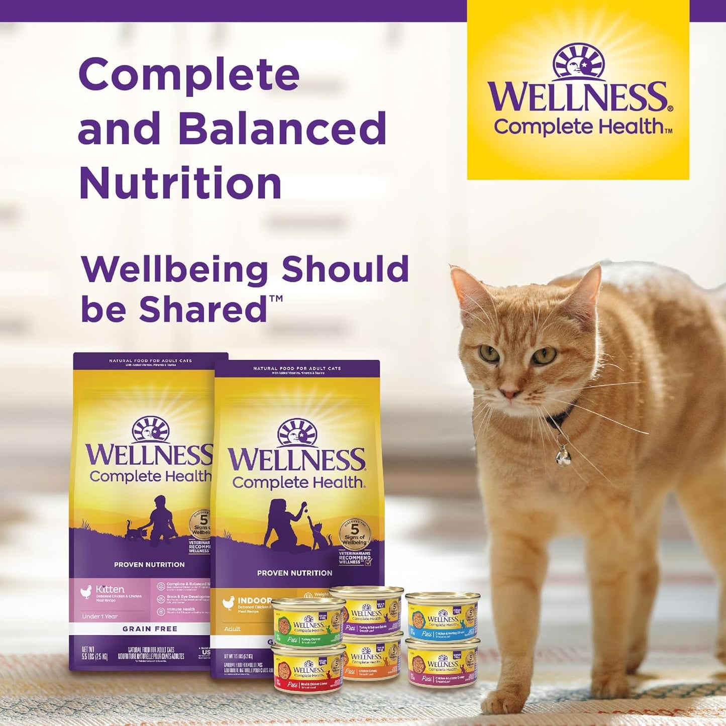 Wellness Complete Health Adult Dry Cat Food for Indoor Cats, Grain Free, Natural, Chicken & Chicken Meal (5.5 Pound Bag)