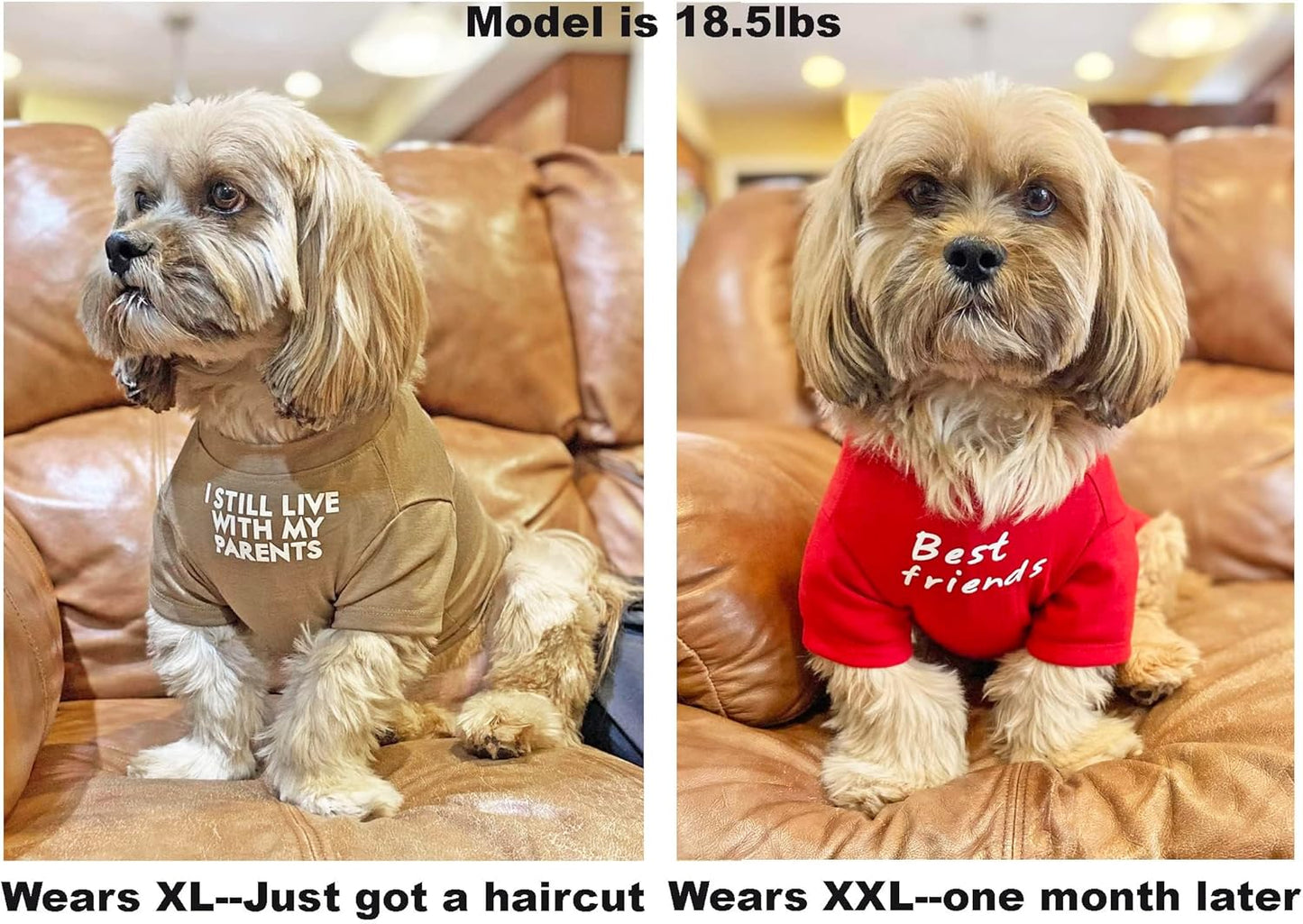 Cute Dog Clothes,Dog T Shirt for Medium Dogs.Dog Clothes for Small Dogs Girl Boy,Puppy.Breathable Soft Dog Costume Pet Dogs Cats,Pet Pullover Jumper,Cat Clothes (S-(4~8lb), Chest~14", Red, Parents)