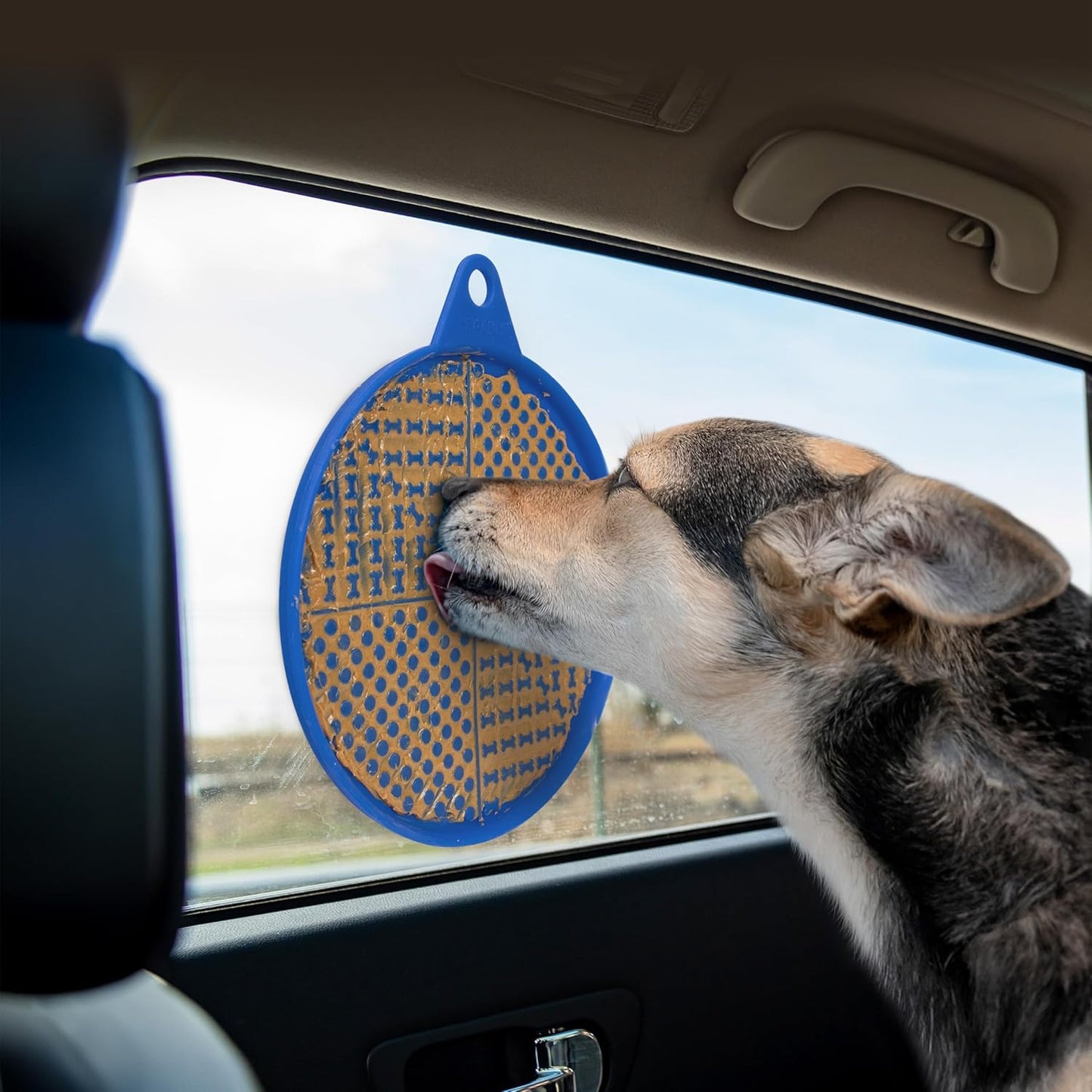 Lick 'n' Go Pet Lick Mat with Carabiner - Set of 2