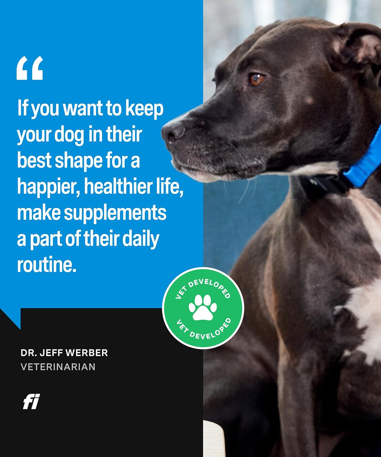 Fi Dog Supplements - Skin & Coat Powder Food Topper | Supports Healthy Skin & Shiny Fur | Omega-3 Fish Oil, Biotin & Zinc | Vet-Formulated Coat Defense Powder for Dogs | 90 Scoops