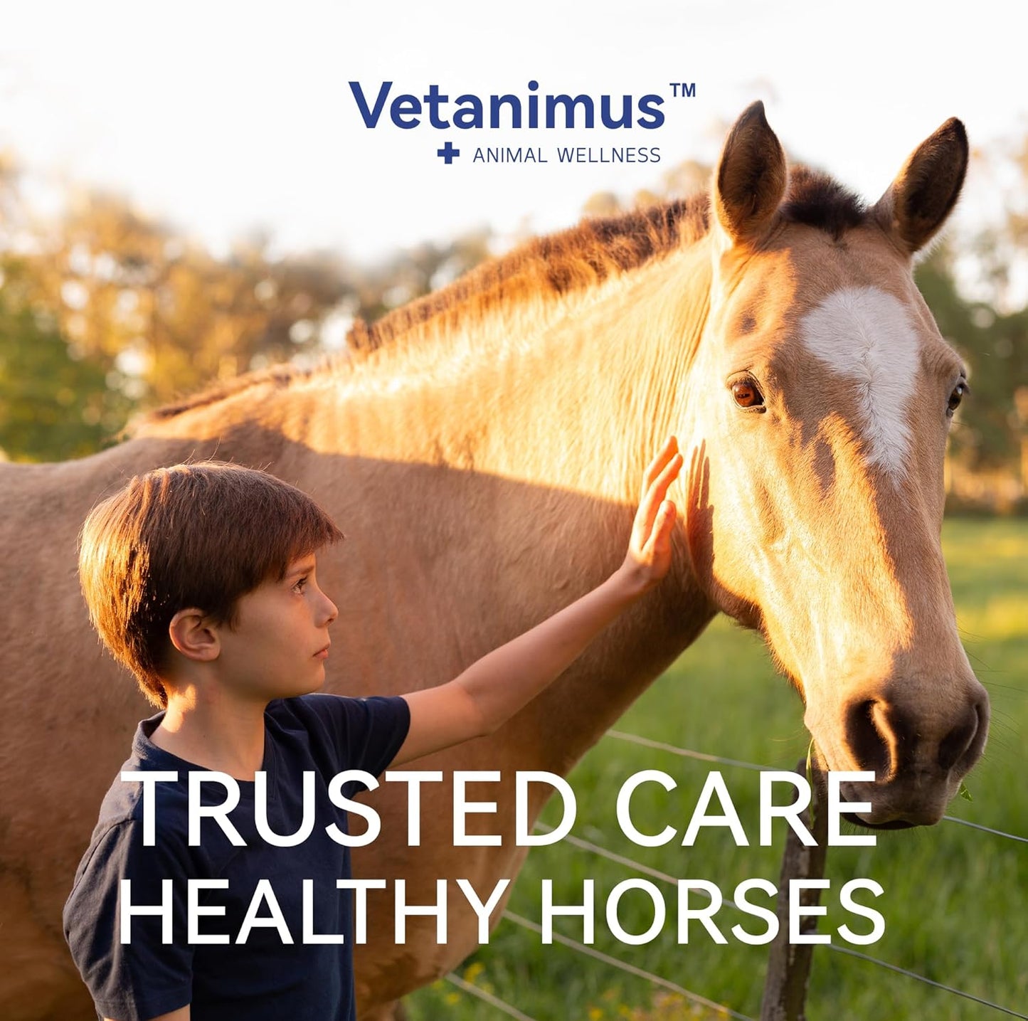 30-Day Supply Equine Body Repair Protein Supplement-Amino Acids Speed up Muscle Recovery After Exercise Promote Muscle Growth and Healthier Joints