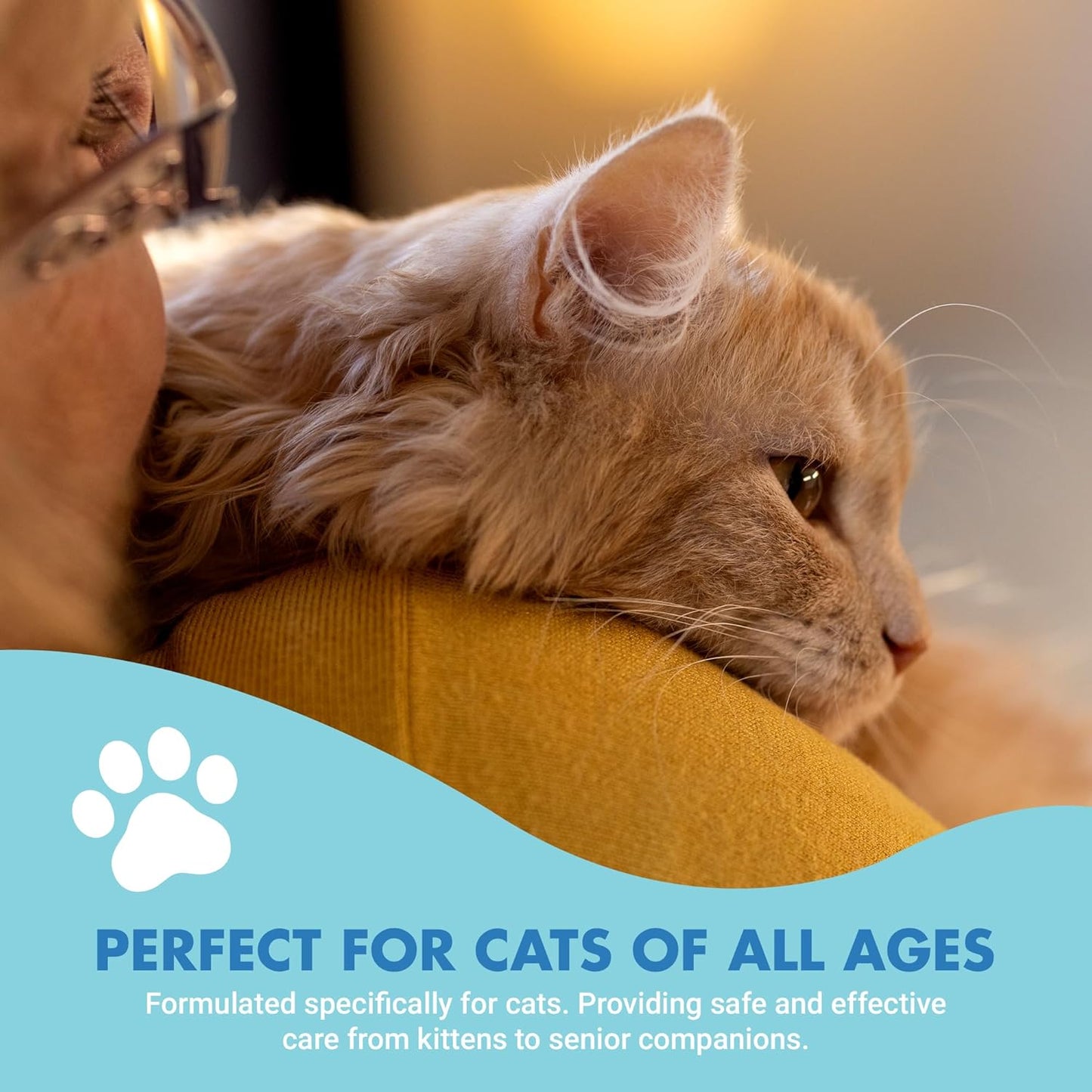 LIQUID-VET Ultimate Cat Teeth Cleaning for Comprehensive Dental Care SPECIFICALLY Formulated for Cats: Freshen Bad Breath Solutions for Superior Cat Oral Hygiene and Pet Dental Health.