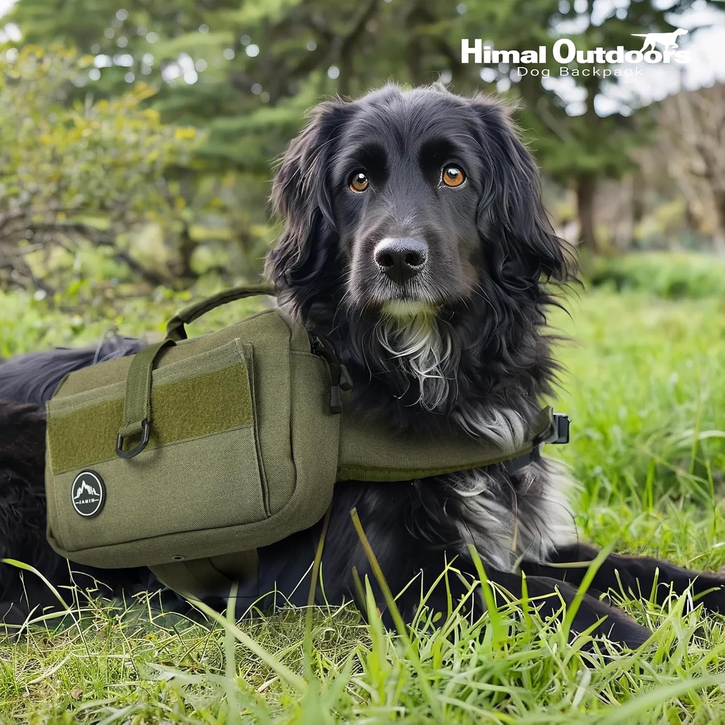 Himal Outdoors Dog Backpack & Saddle Bag, Tactical Hiking Backpack for Large Dogs with Side Pockets & Adjustable Strap
