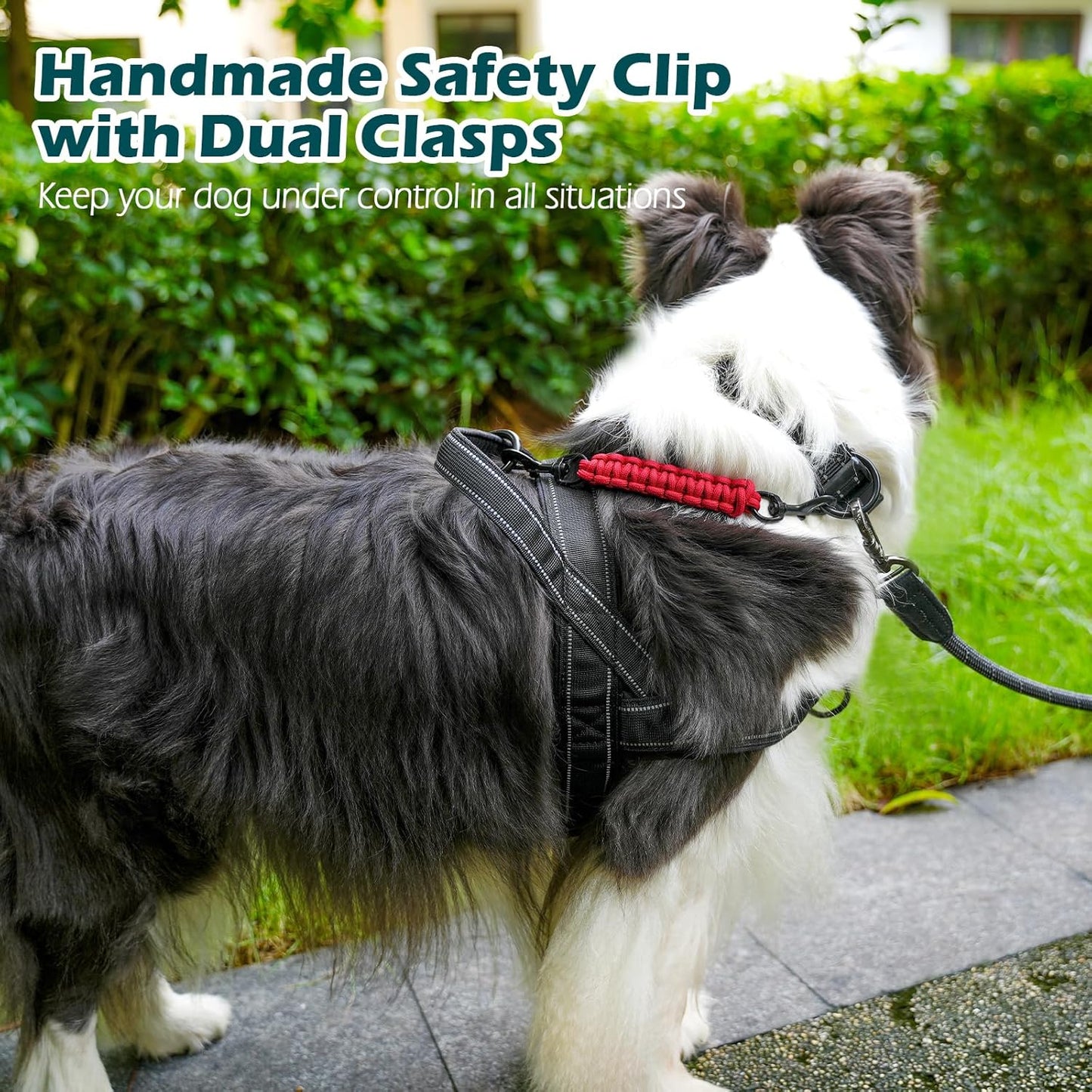 PetBonus Heavy Duty Tactical Dog Leash, 5 FT Bungee Shock Absorption Leash and Dog Collar Safety Clip