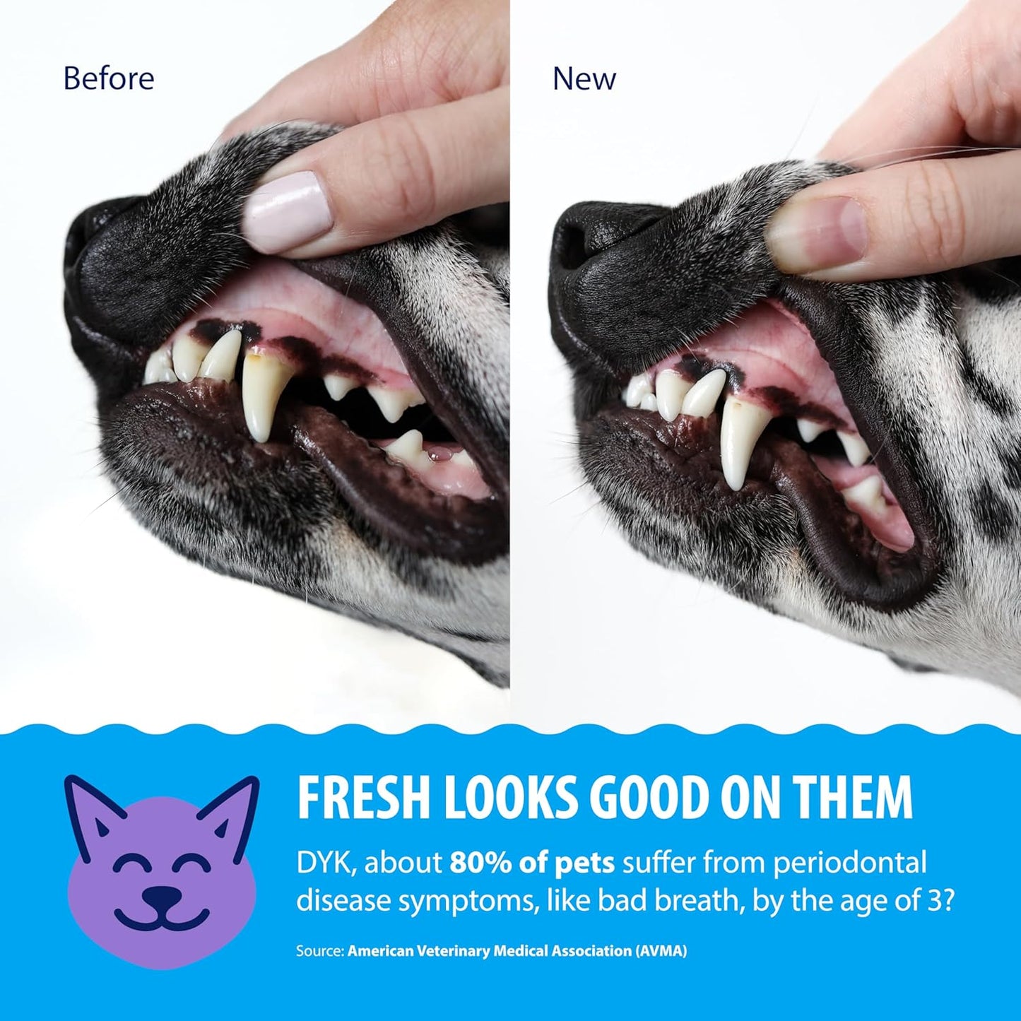 Dental Fresh Water Additive for Dogs and Cats, Clean Teeth and Fresh Breath, Daily Pet Oral Care, Flavorless, 8 fl oz