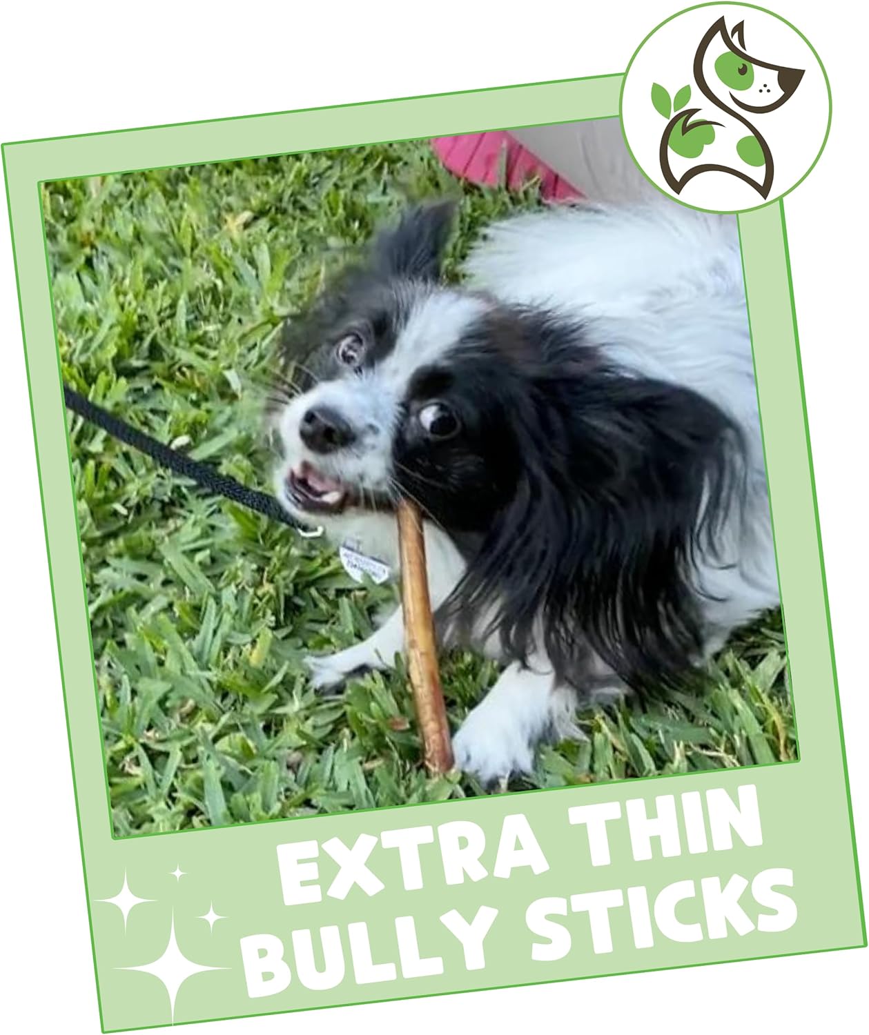 Nature Gnaws Extra Thin Bully Sticks for Small Dogs 5-6" (10 Count) - Long Lasting for Light Chewers and Puppies - Natural Beef Dog Chew Bones