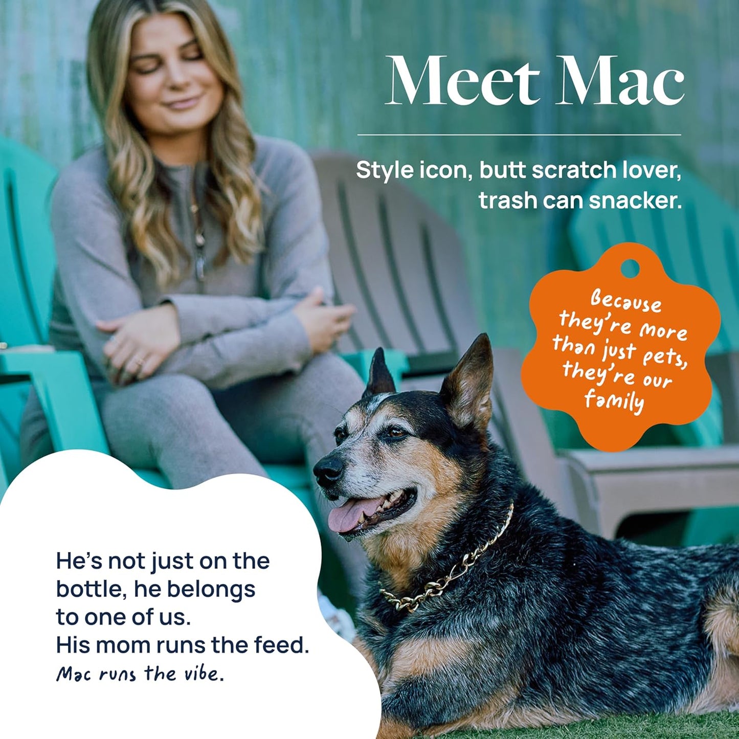 Veterinary Formula Smart Vitality Senior Support Dog Supplements 60ct – Senior Dog Vitamins to Help Promote Mobility, Hip & Joint, Immune Health – Dog Multivitamin with Glucosamine and Chondroitin