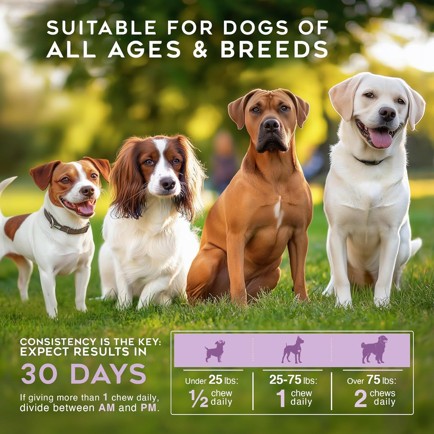 Dog Multivitamin 21-in-1 Chews for Dogs. Rich with Fatty Acids & Antioxidants. Supports Healthy Gut, Mobility & Immune System. for Seniors and Puppies β 60 Soft Chews, Made in The USA, Enjoy!