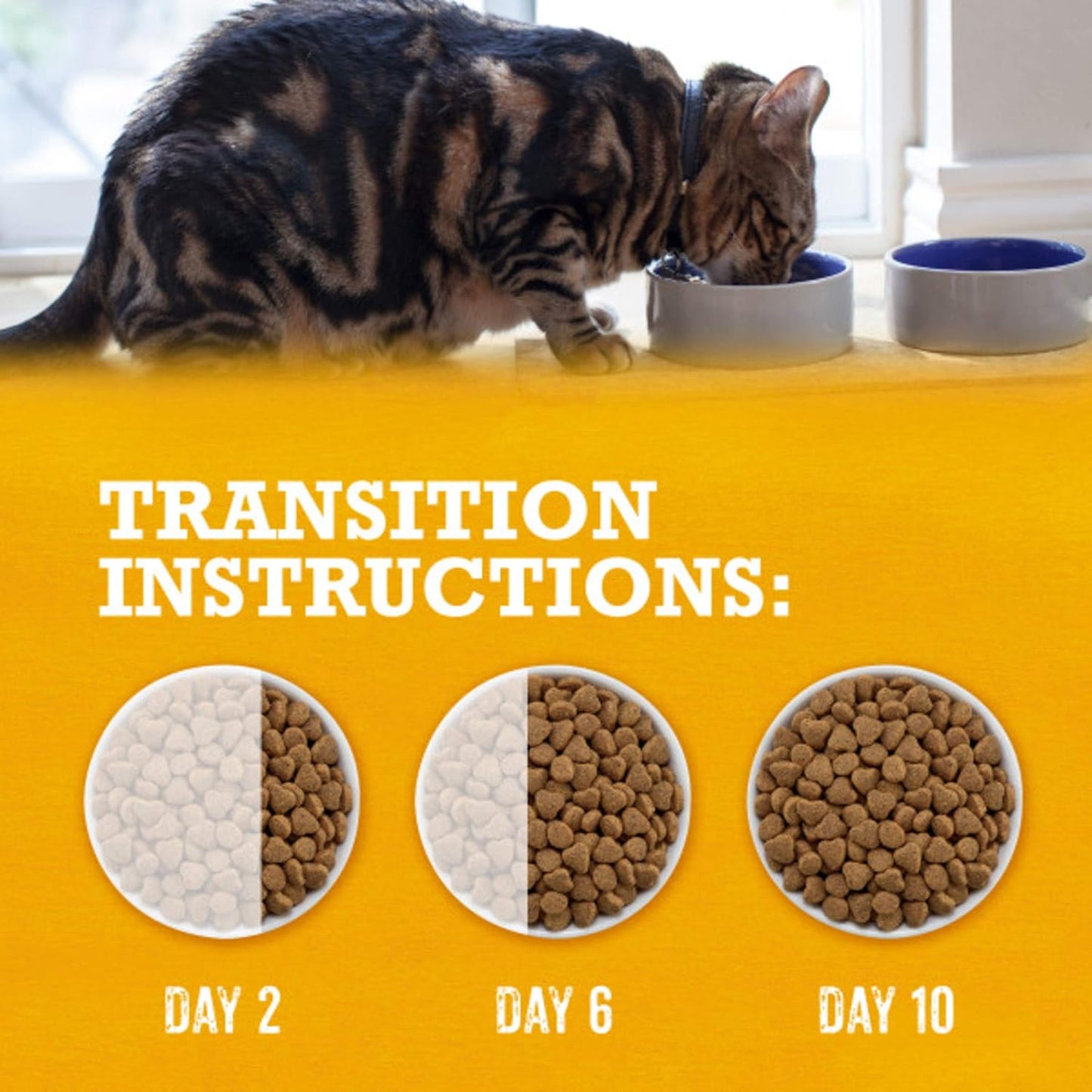 Purina Beyond Grain Free White Meat Chicken and Egg Recipe Natural Cat Food High Protein Cat Food Dry Formula - 16 Lb. Bag