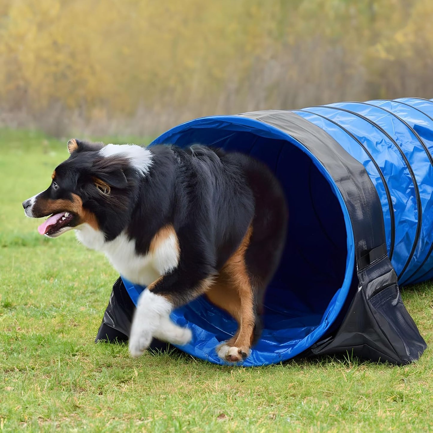 24 in 10 Foot PVC Dog Agility Tunnel with Sandbags Dogs Agility Training Equipment Tunnel with 2 Pack Sandbags, Carry Bag and 4 Ground Spikes for All Medium and Large Dogs Outdoor Sports