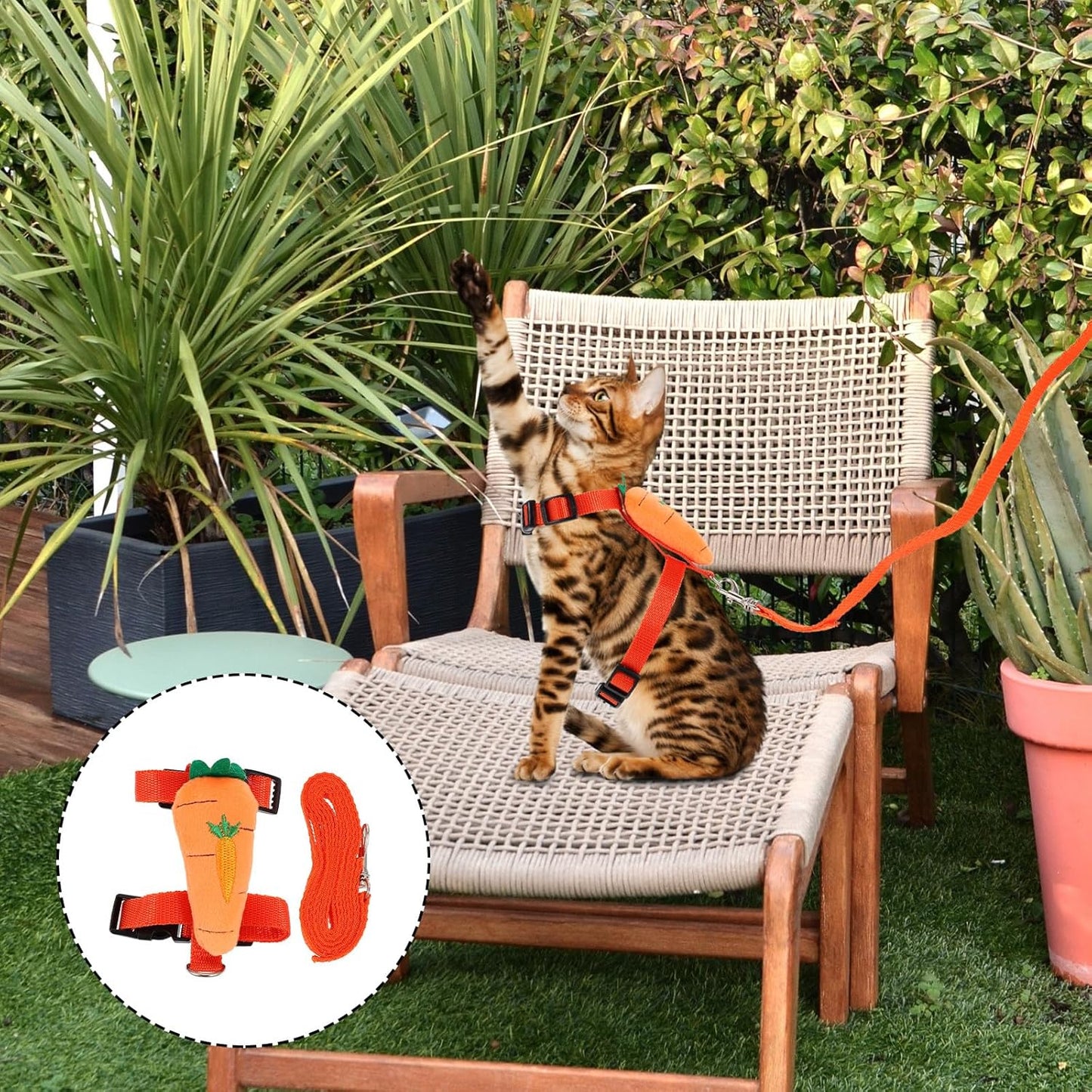 Cat Harness Leash Set with Cartoon Bunny Design, Wear-Resist Adjustable Kitten Harness and Outdoor Pulling Strap, Size S Carrot Pattern for Small Cats and Kittens
