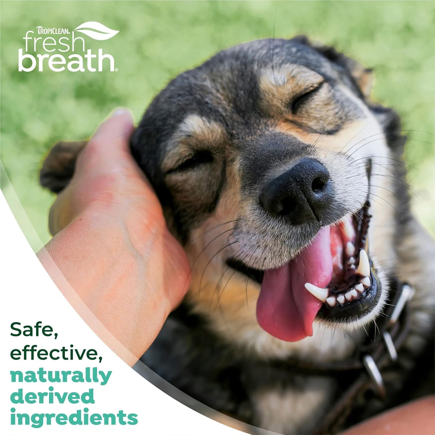 TropiClean Fresh Breath No Brush Total Care Kit | Dog Dental Hygiene| Dog Teeth Cleaning Made Easy | Water Additive No Brushing Toothpaste for Dogs