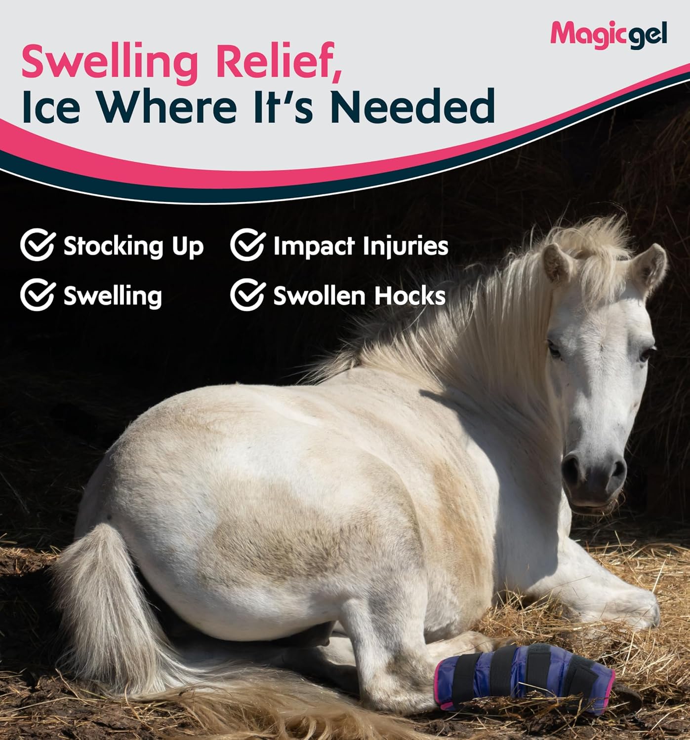 Magic Gel Horse Ice Pack with Carry Case - Twin Ice Boots | Cooling Horse Leg Wraps for Hock, Ankle, Knee, Legs, Boots, and Hooves | Horse Tack, Horse Supplies & Horse Gift Ideas for Horse Lovers