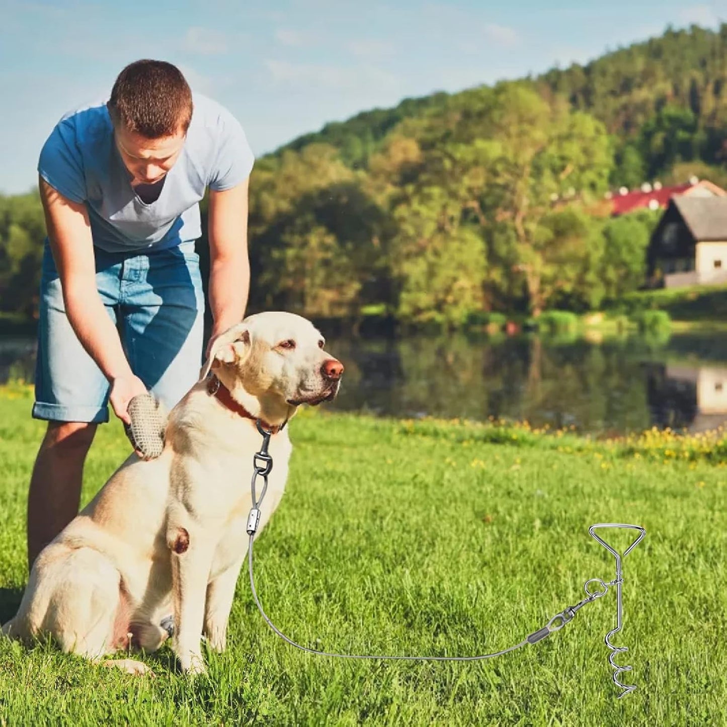 Fasmov 4 Pack 16" Dog Stake, Metal Spiral Anchor Tie-Out with Ring, Spiral Tie Out Stake for Dogs