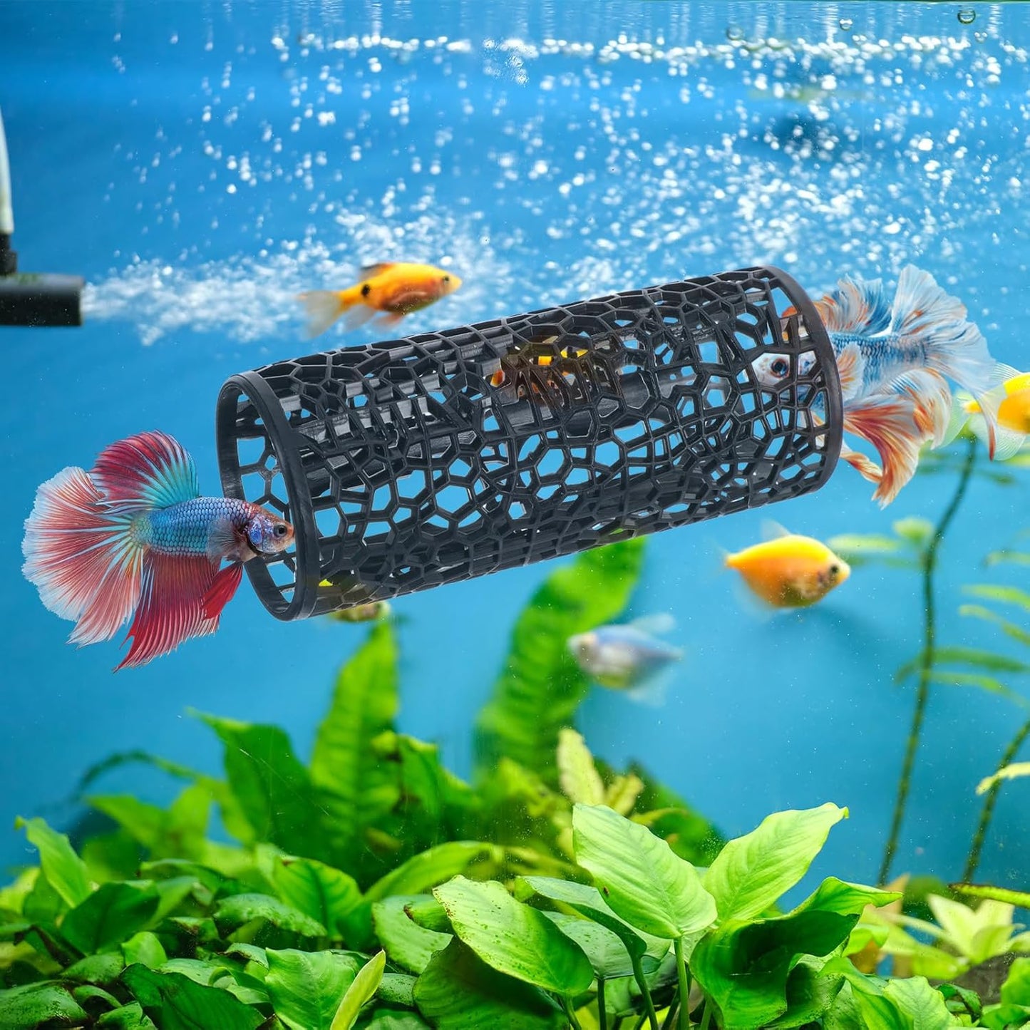 Betta Fish Tank Accessories, Black Hollow Aquarium Tunnel Swim Tube Soft Edged Betta Shelter Cave Safer for Small Fish Shrimp Aquarium Decor Hideout Tube