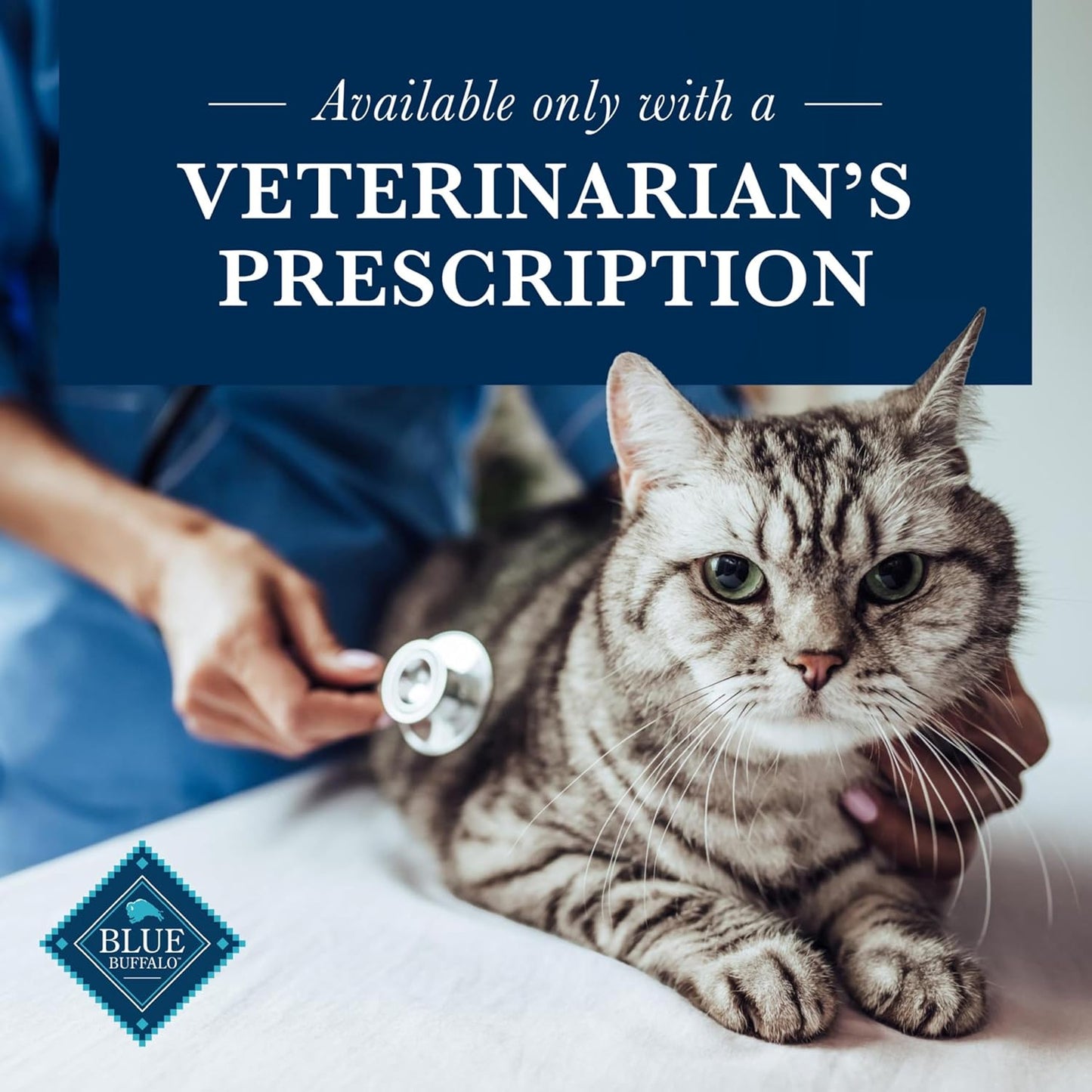 Blue Buffalo Natural Veterinary Diet K+M Kidney + Mobility Support Dry Cat Food, Chicken 7-Lb Bag