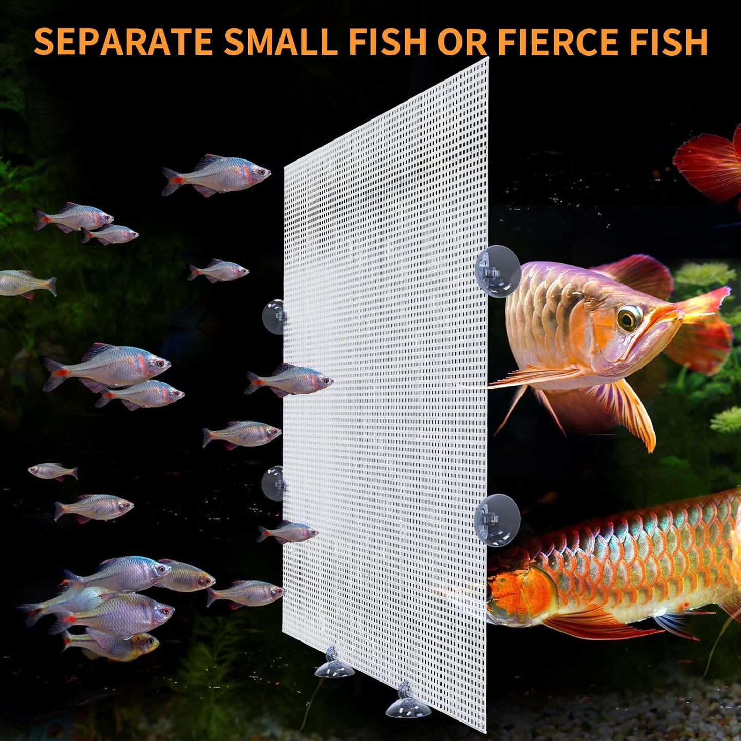 2PCS Fish Tank Divider Aquarium Dividers Fish Clear Plastic Tank Separator with Suction Cups DIY Designed Adjustable Isolation Board Reusable Partition Grid for Separating Fishes 13 x 10 Inch