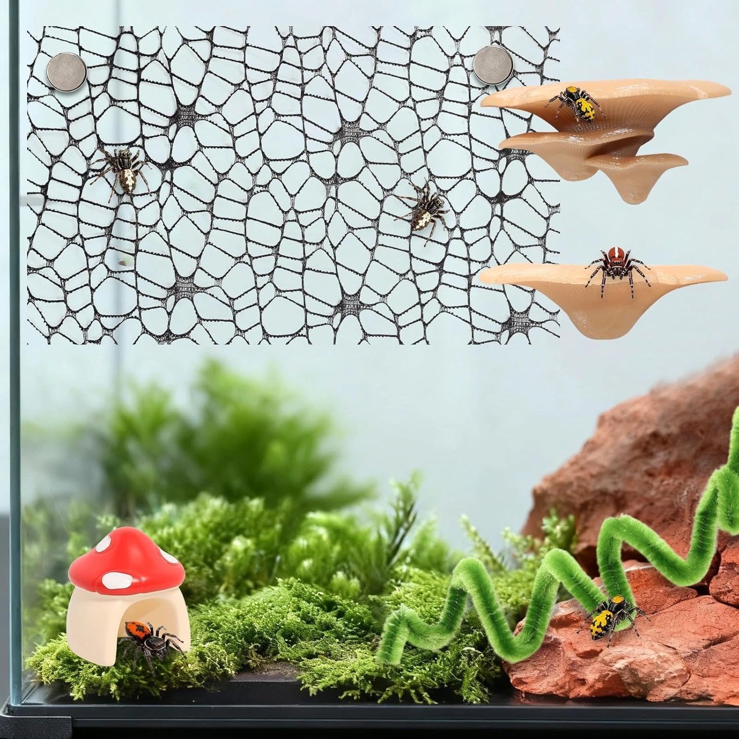 8 Pcs Jumping Spider Hide Enclosure Habitat, Pet Spiders Hideout Leaf Climbing Rope Bridge Swings & Web, Mushroom Shelf, Jump Platform with Magnets for Pet Spider Habitat Accessories