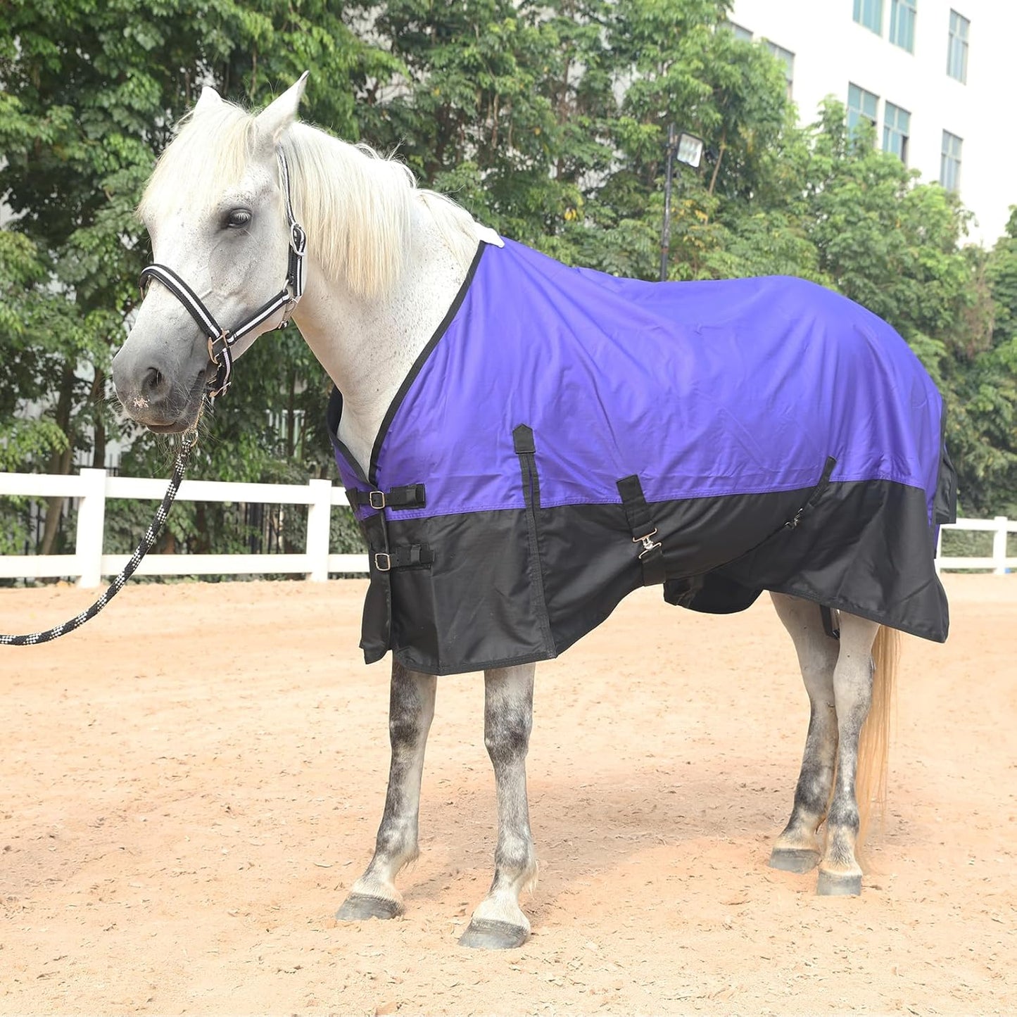 600 Denier Rip-Stop Horse Rain Sheet Lightweight Waterproof and Breathable Turnout Horse Blanket (No Fill) Violet/Black 78
