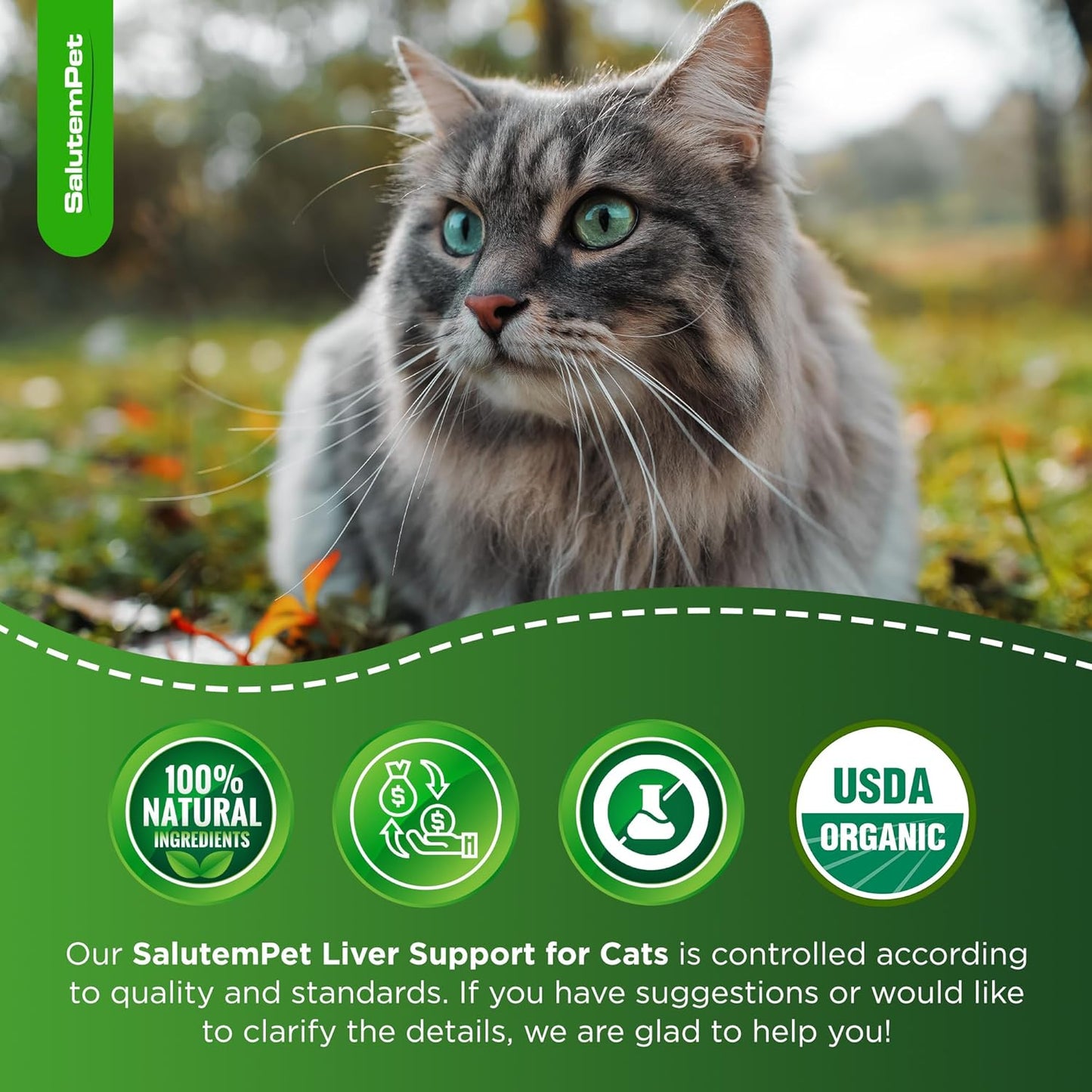 Π‘at Kidney Support | Milk Thistle for Cats | Herbal Supplement for Kittens & Adult Ones | Solution for All Breeds | Care for Liver | Π‘hicken Flavor | 2 Oz